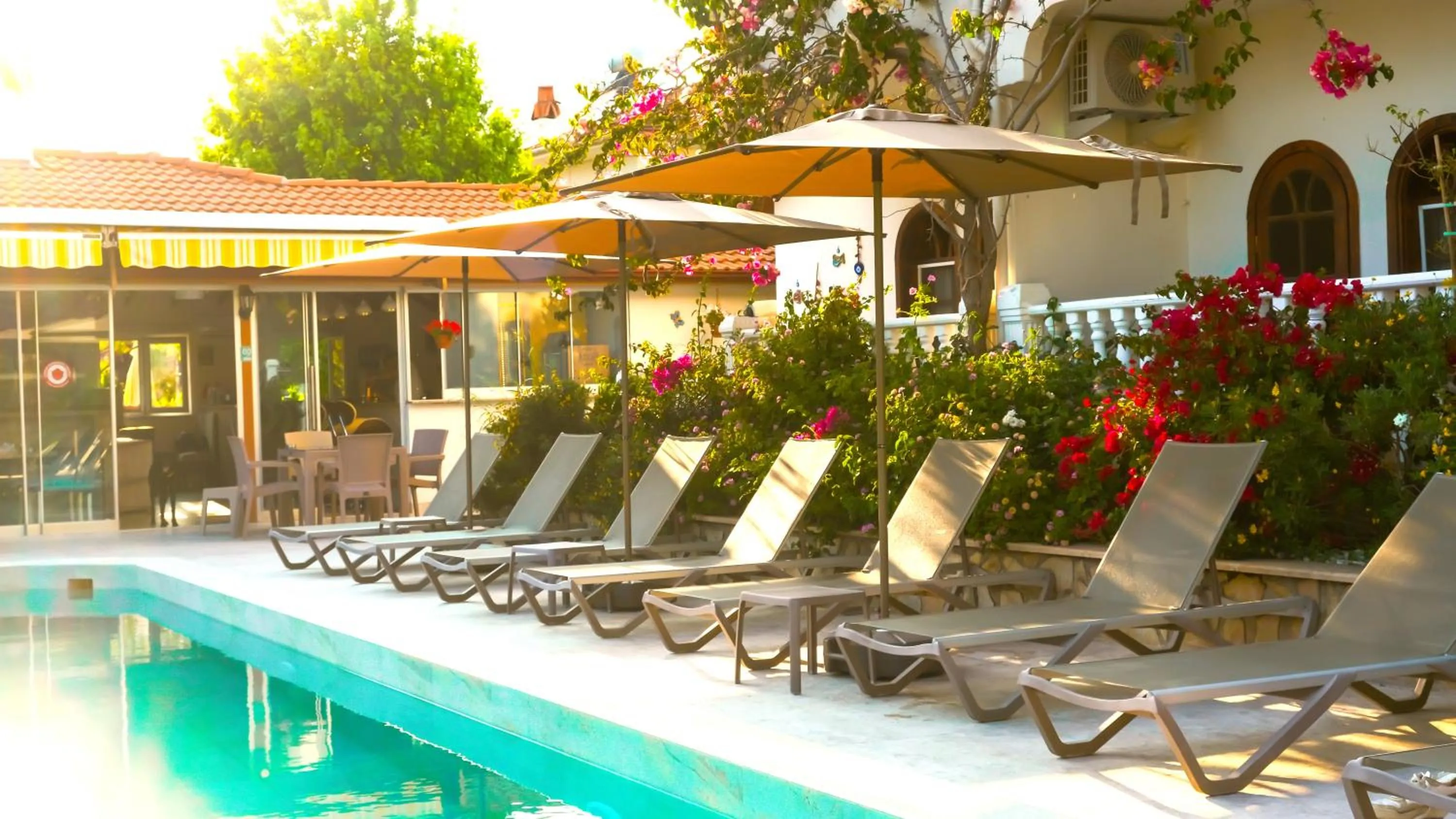 Pool view in Casablanca Hotel