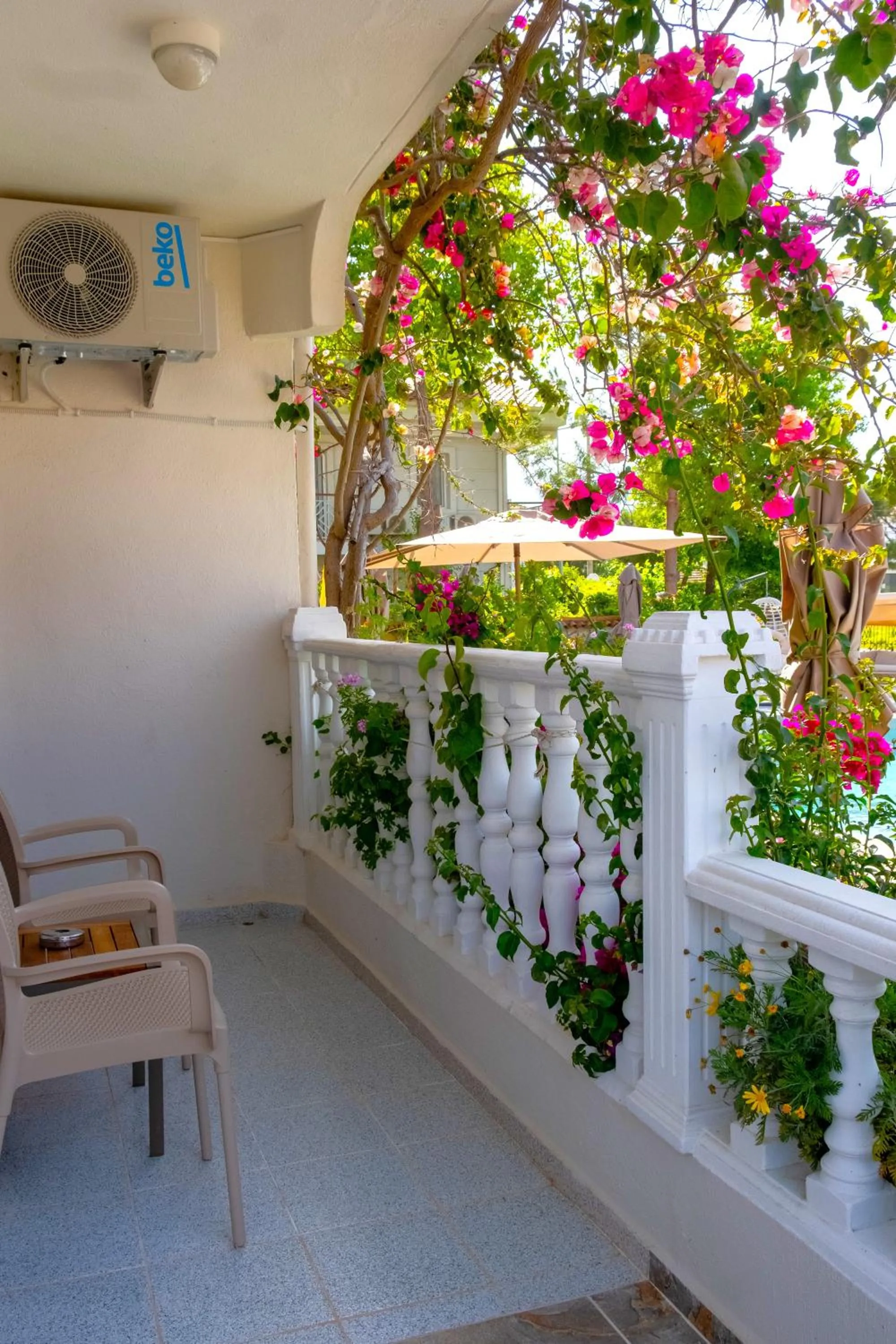 Spring in Casablanca Hotel