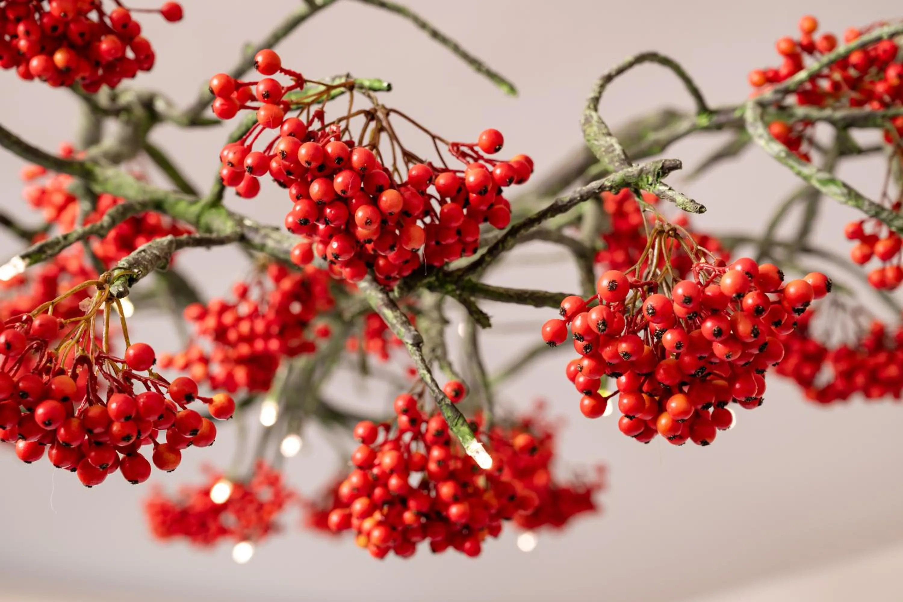Decorative detail in HERBARIUM boutique hotel