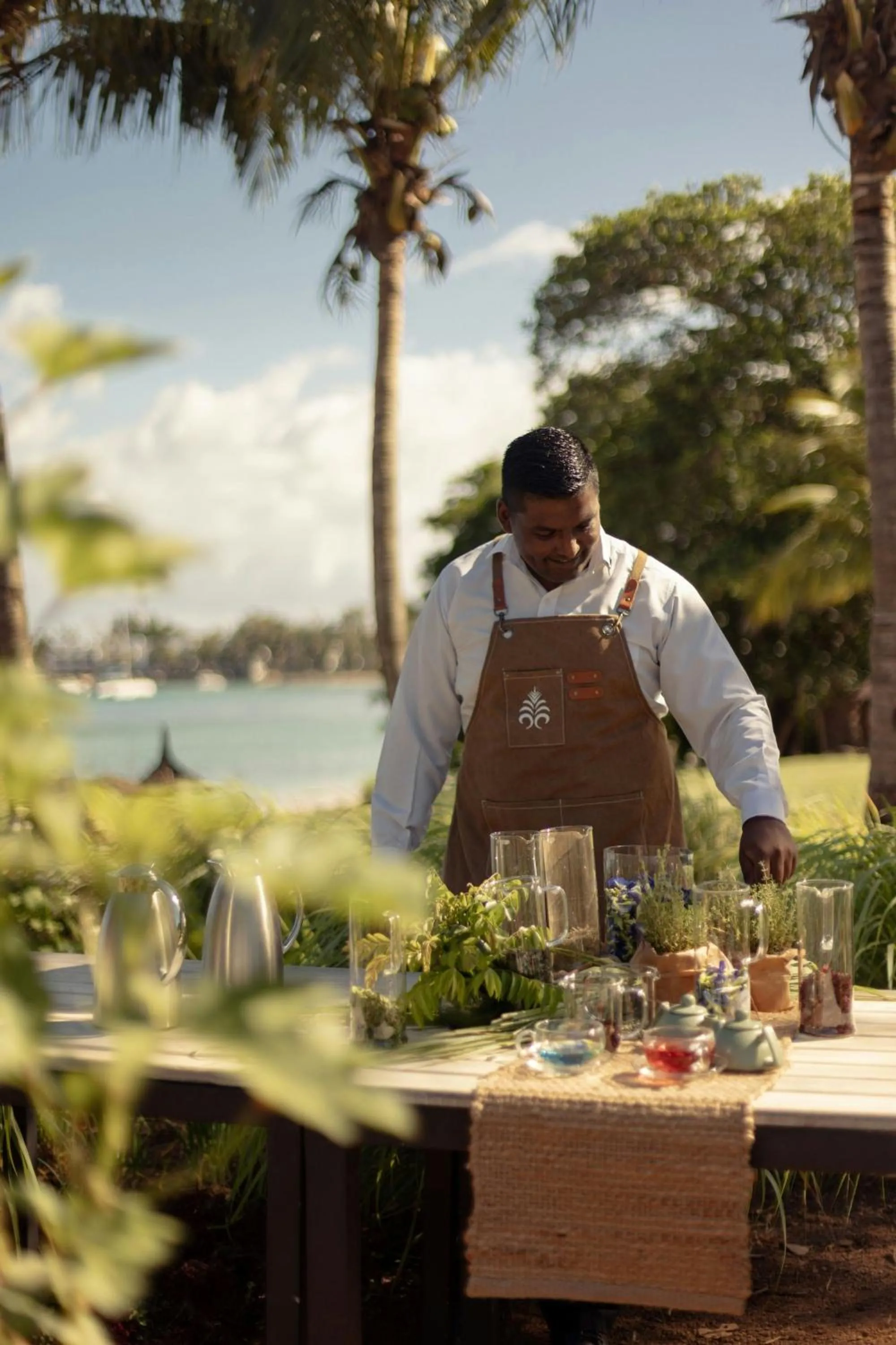 Other in The Westin Turtle Bay Resort & Spa, Mauritius