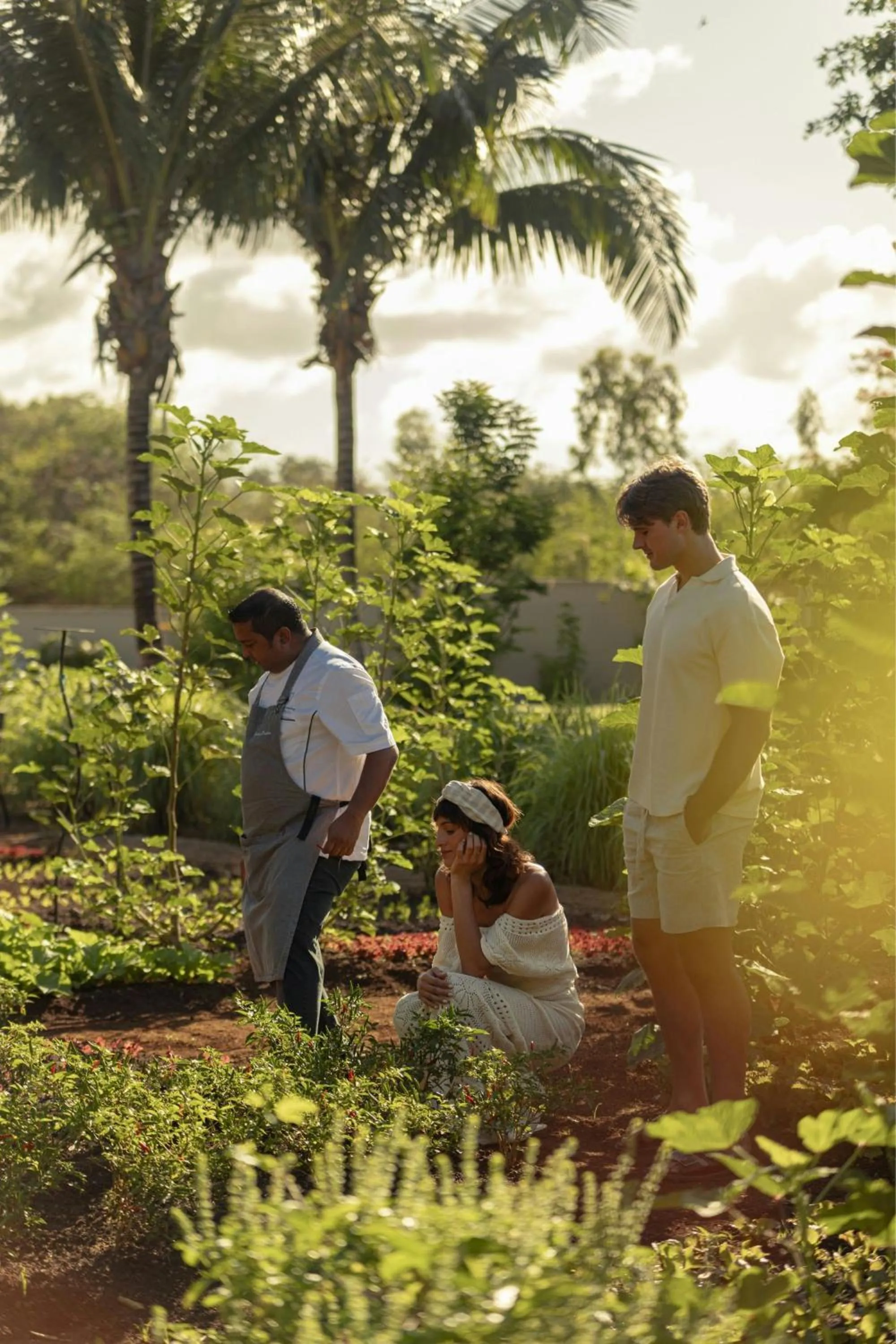Other in The Westin Turtle Bay Resort & Spa, Mauritius