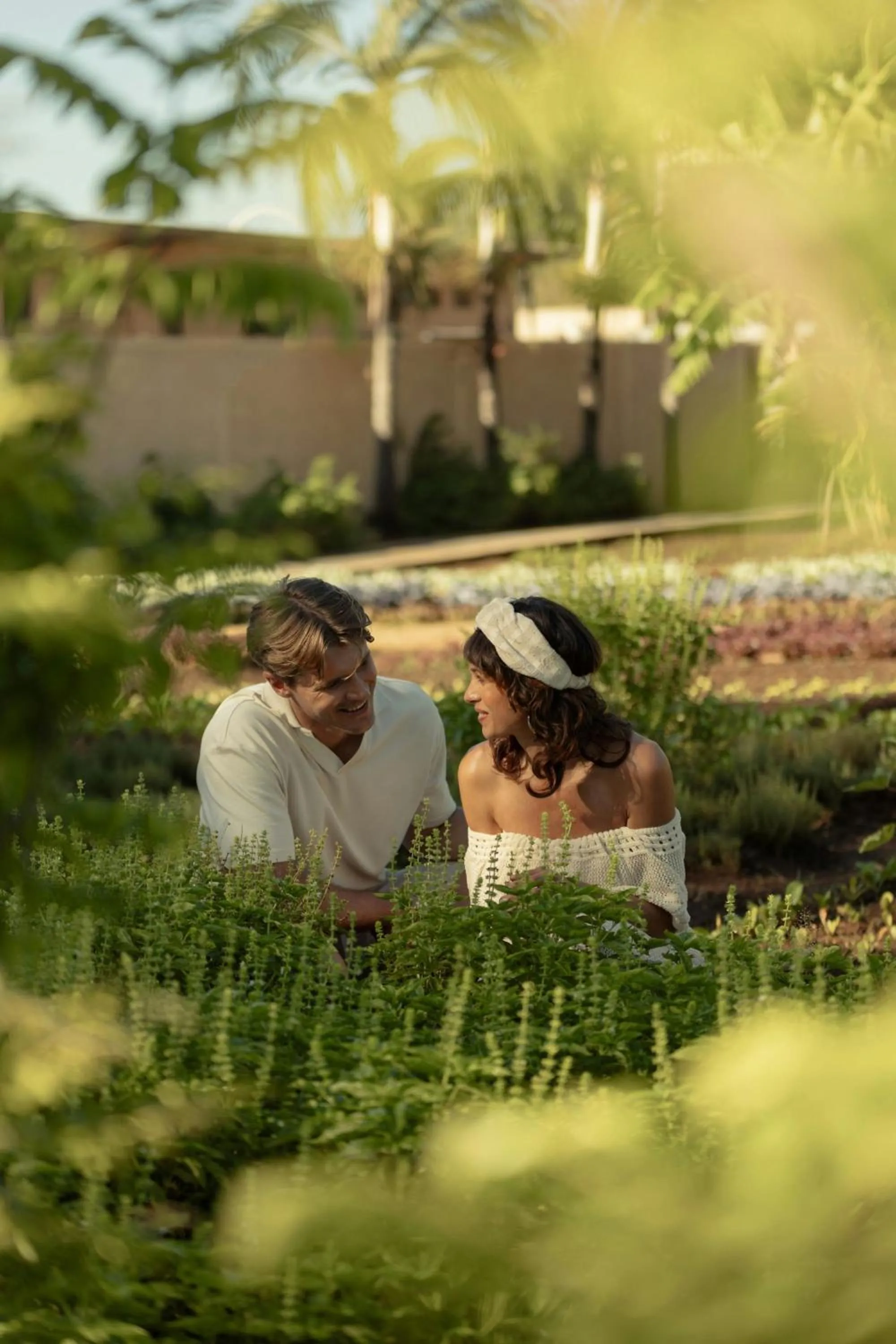 Other in The Westin Turtle Bay Resort & Spa, Mauritius