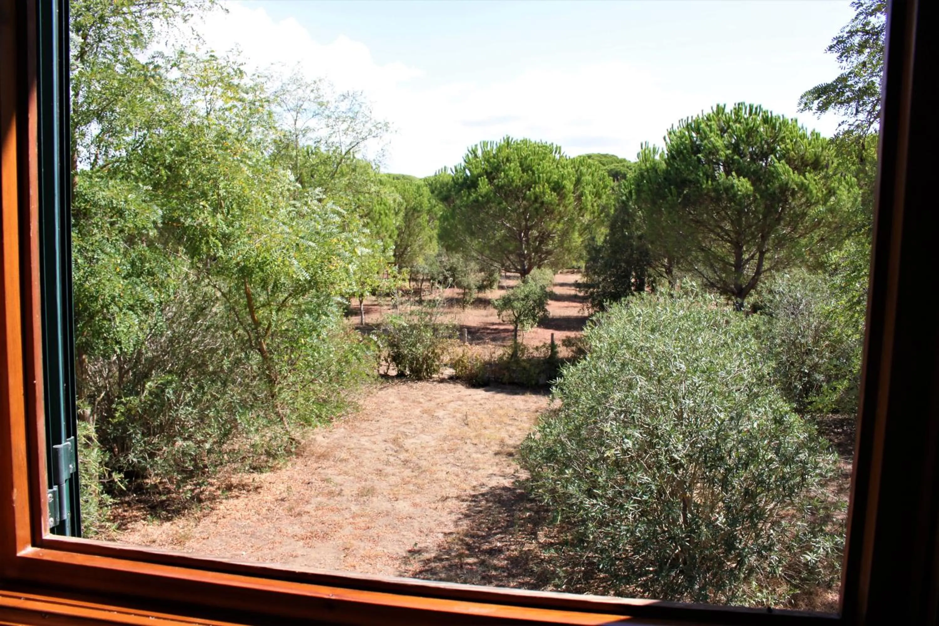 Garden view in Residence La Canova II