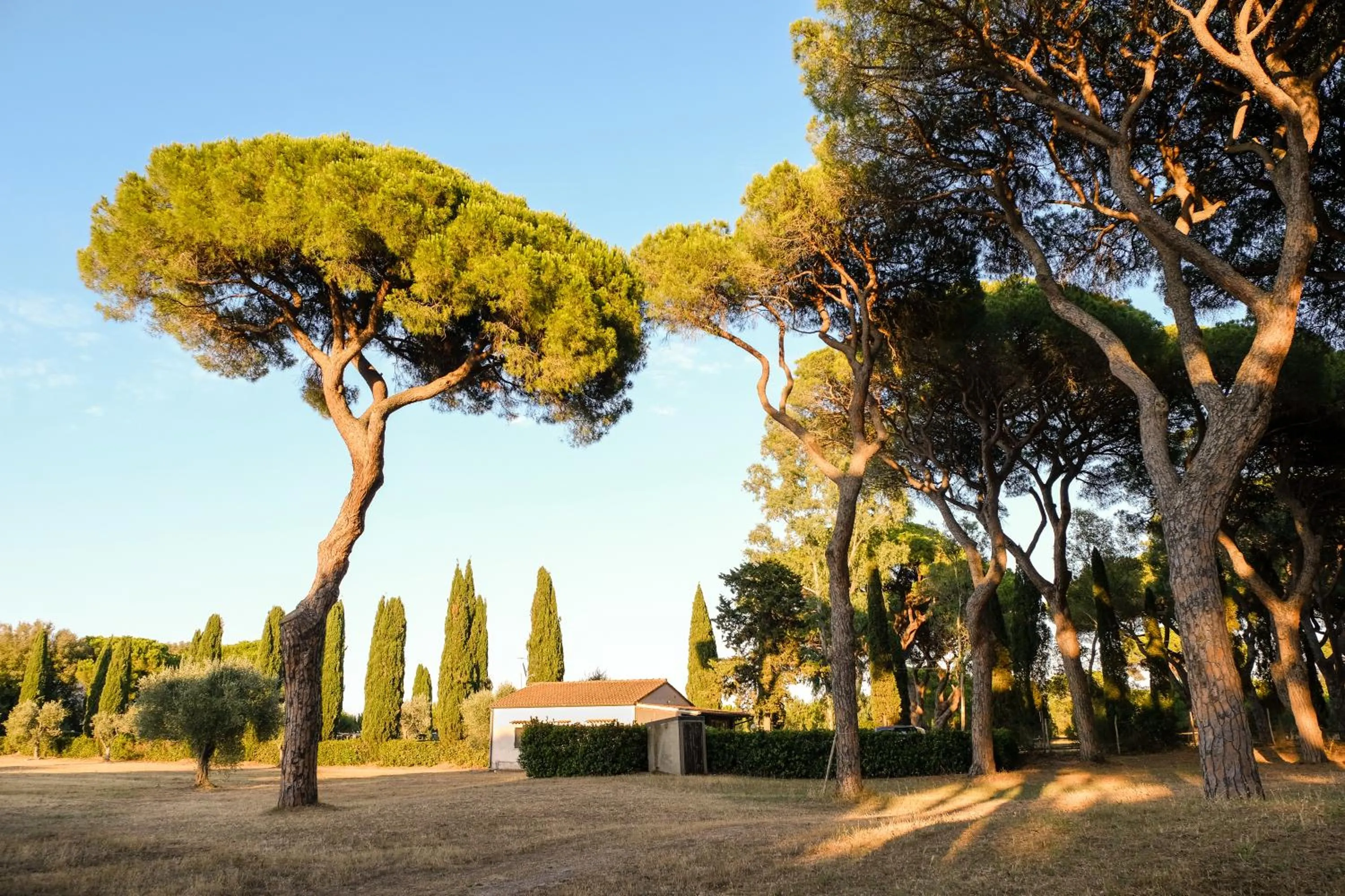 Property building in Residence La Canova II