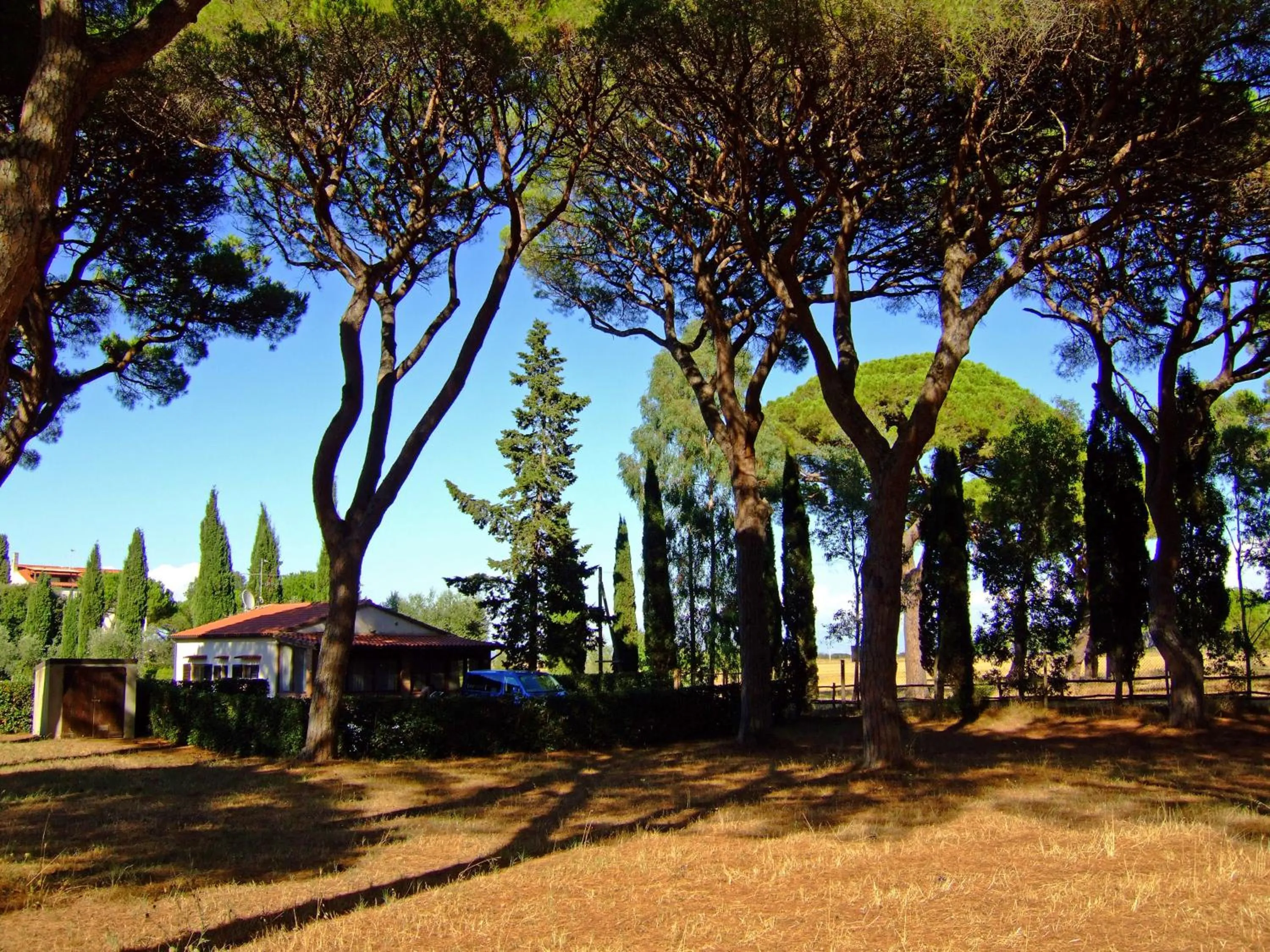 Facade/entrance in Residence La Canova II