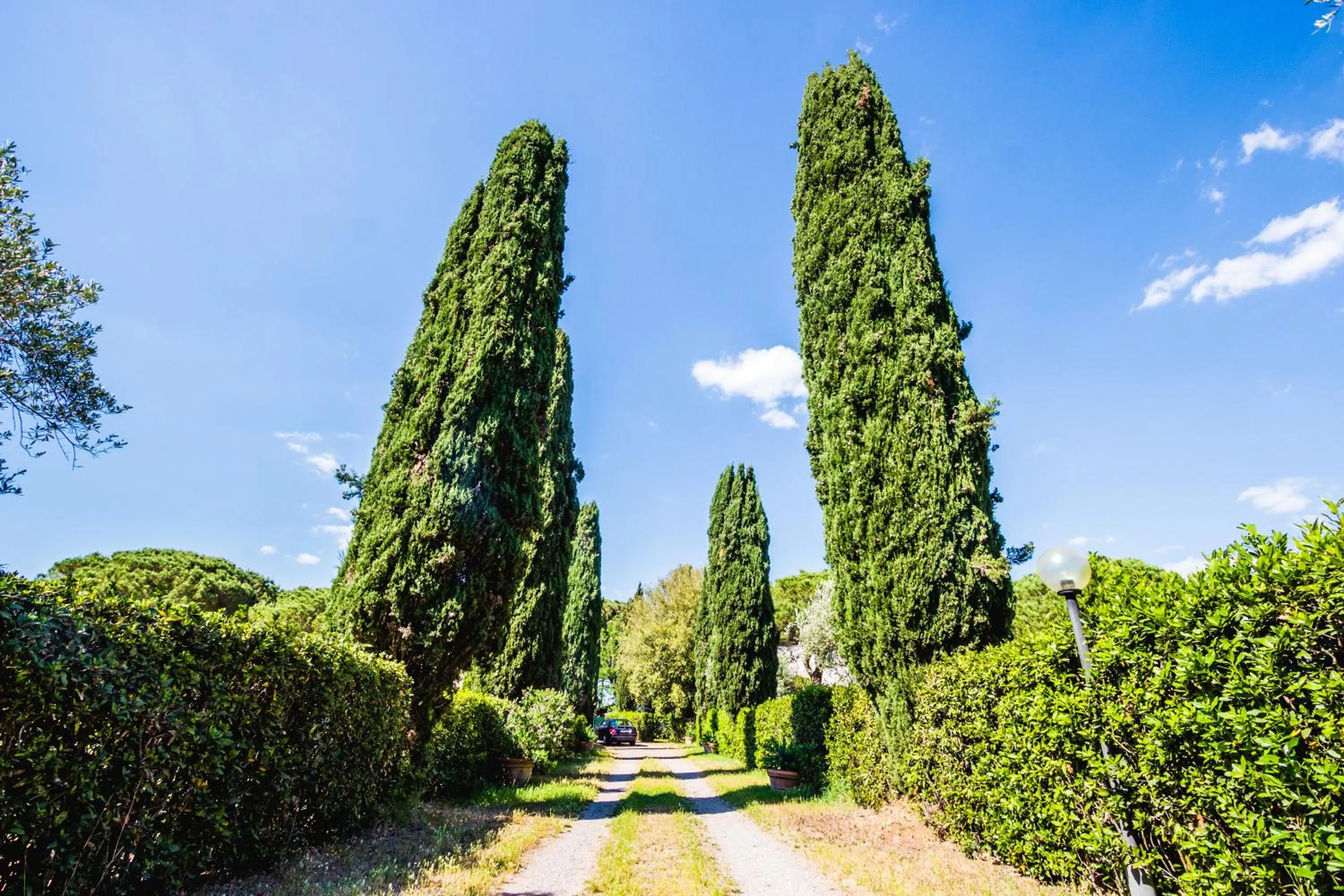 Natural landscape in Residence La Canova II