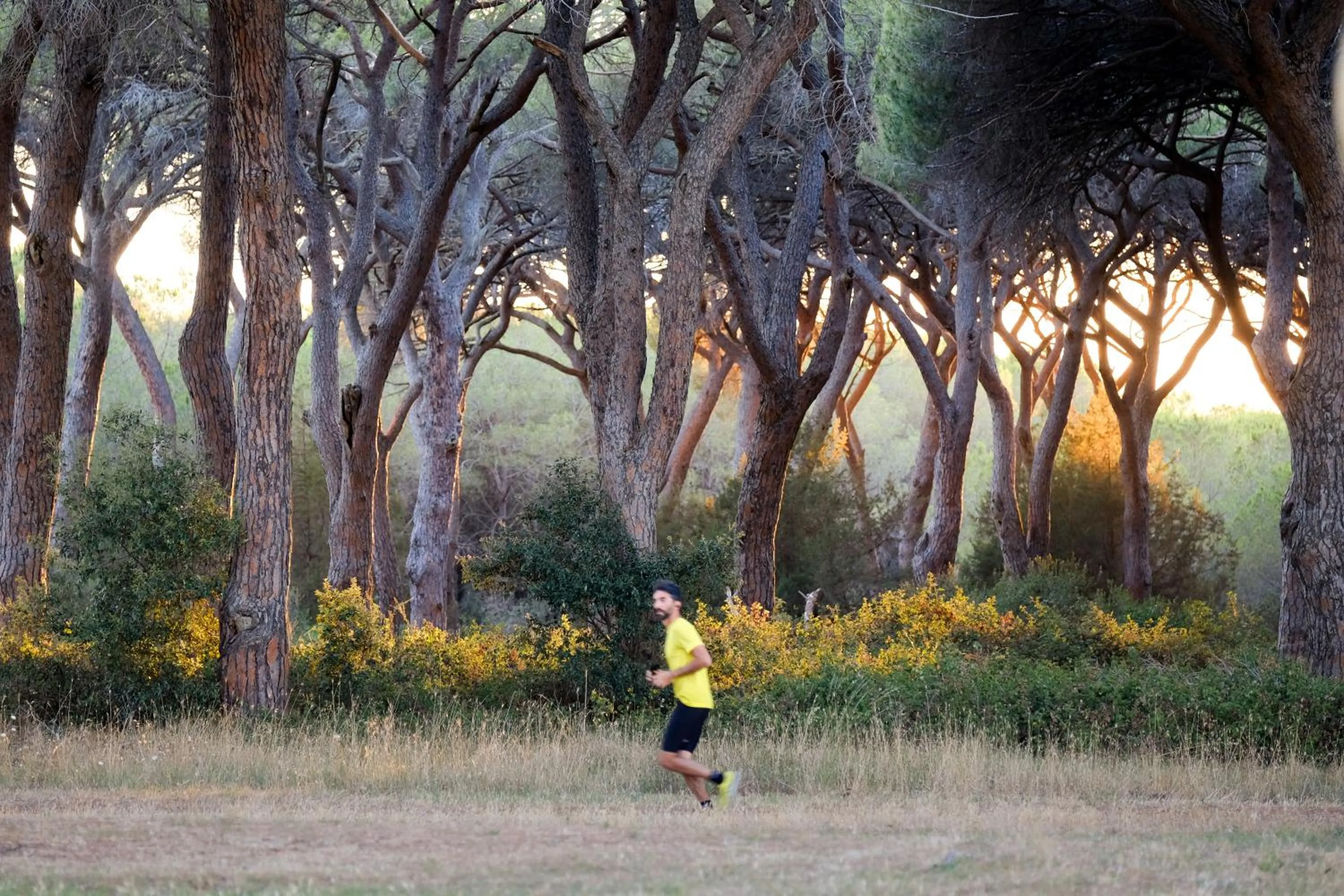 Sports in Residence La Canova II