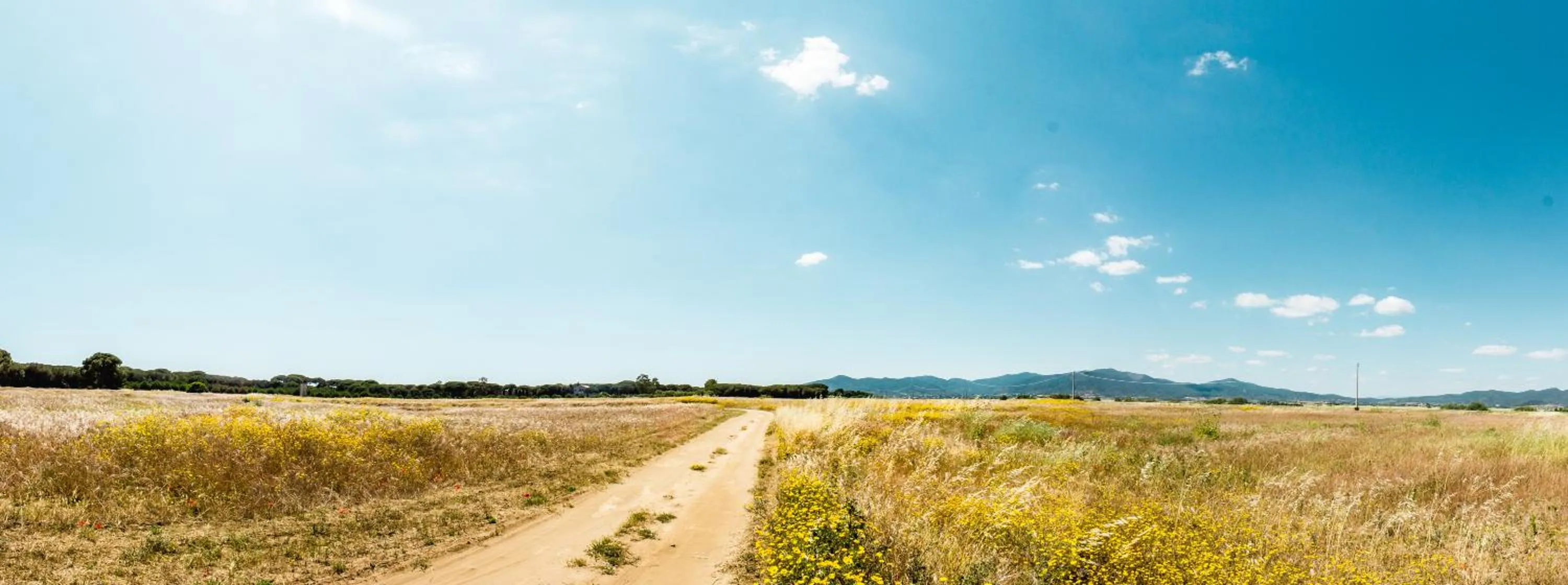 Natural landscape in Residence La Canova II