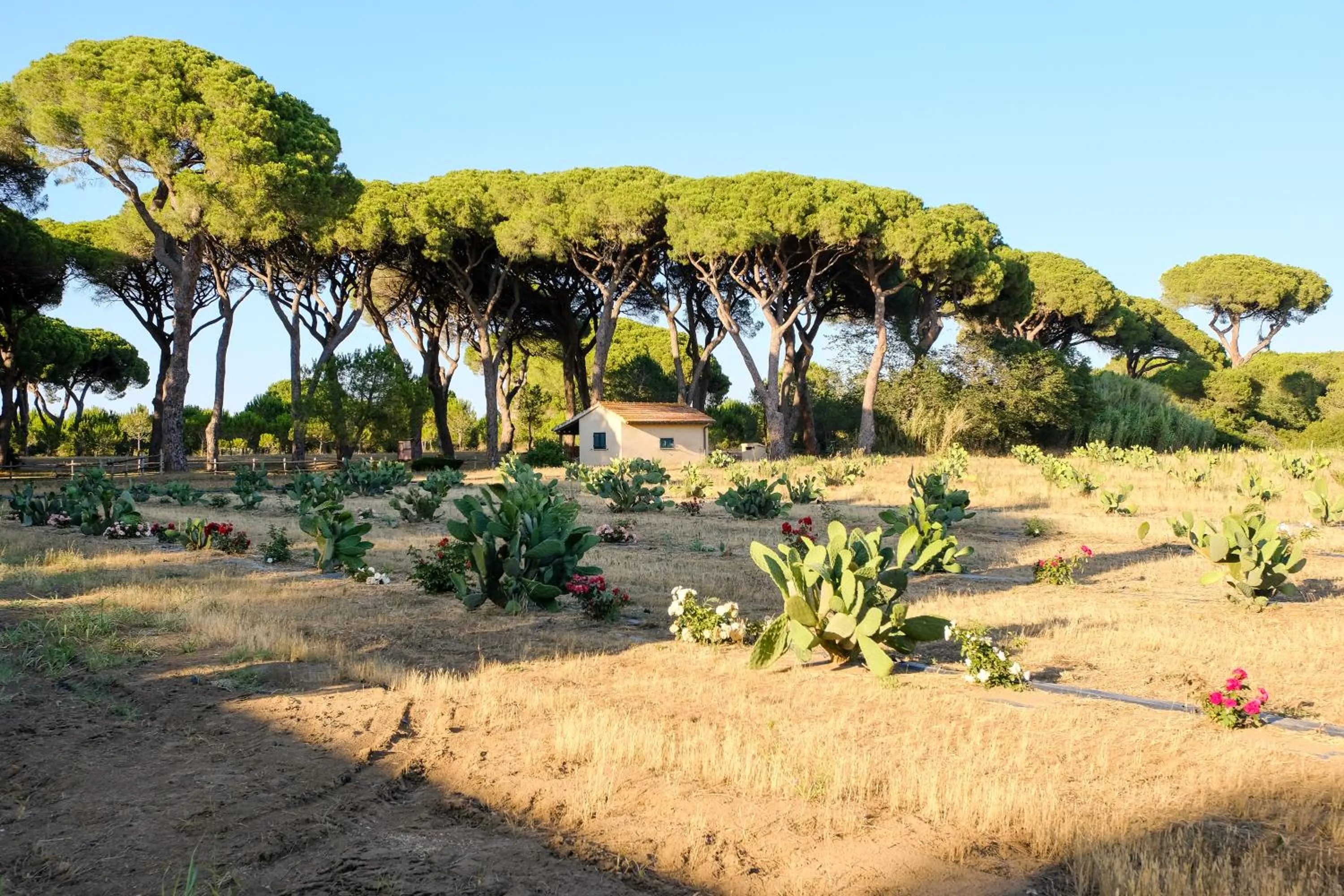 BBQ facilities in Residence La Canova II