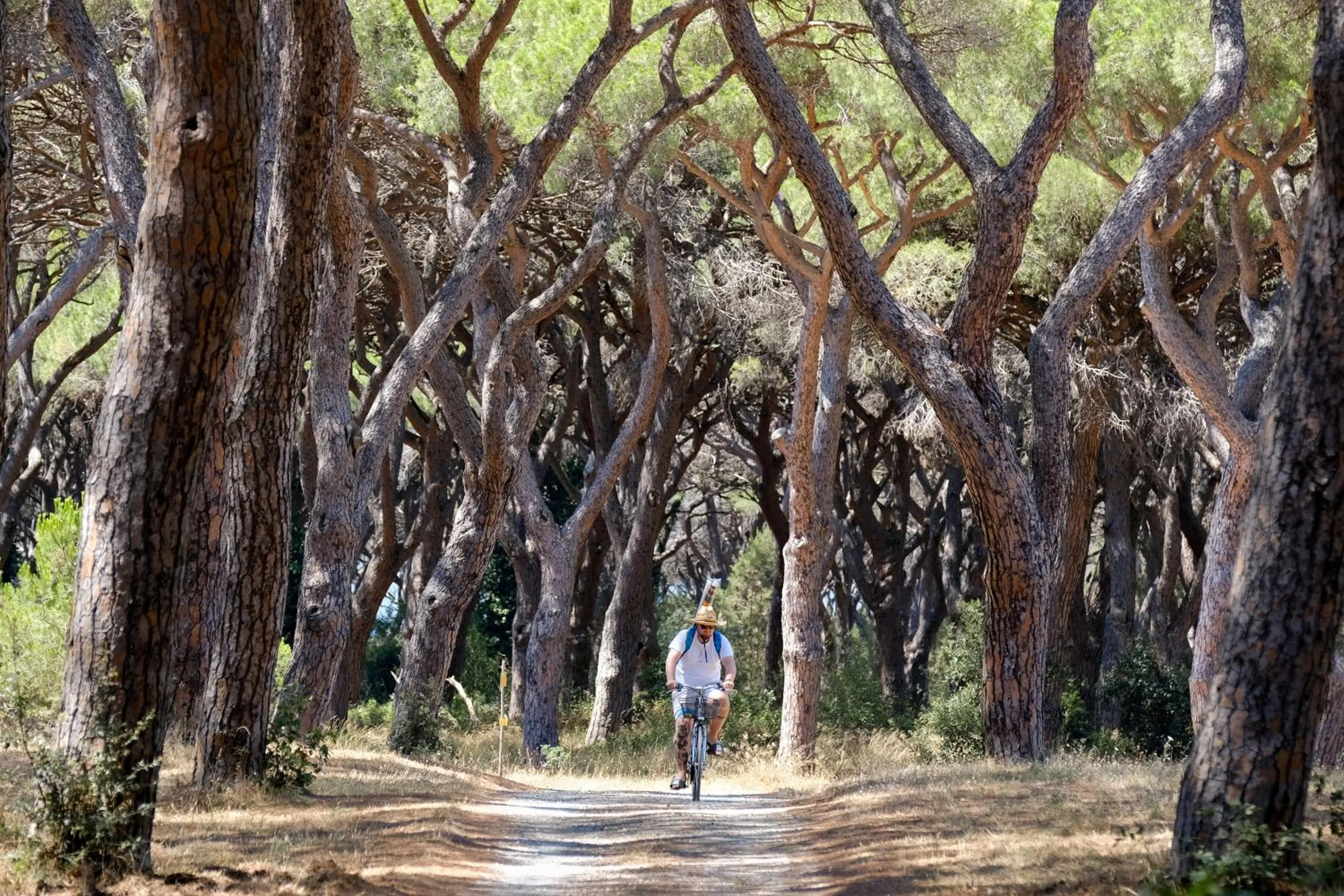 Cycling in Residence La Canova II