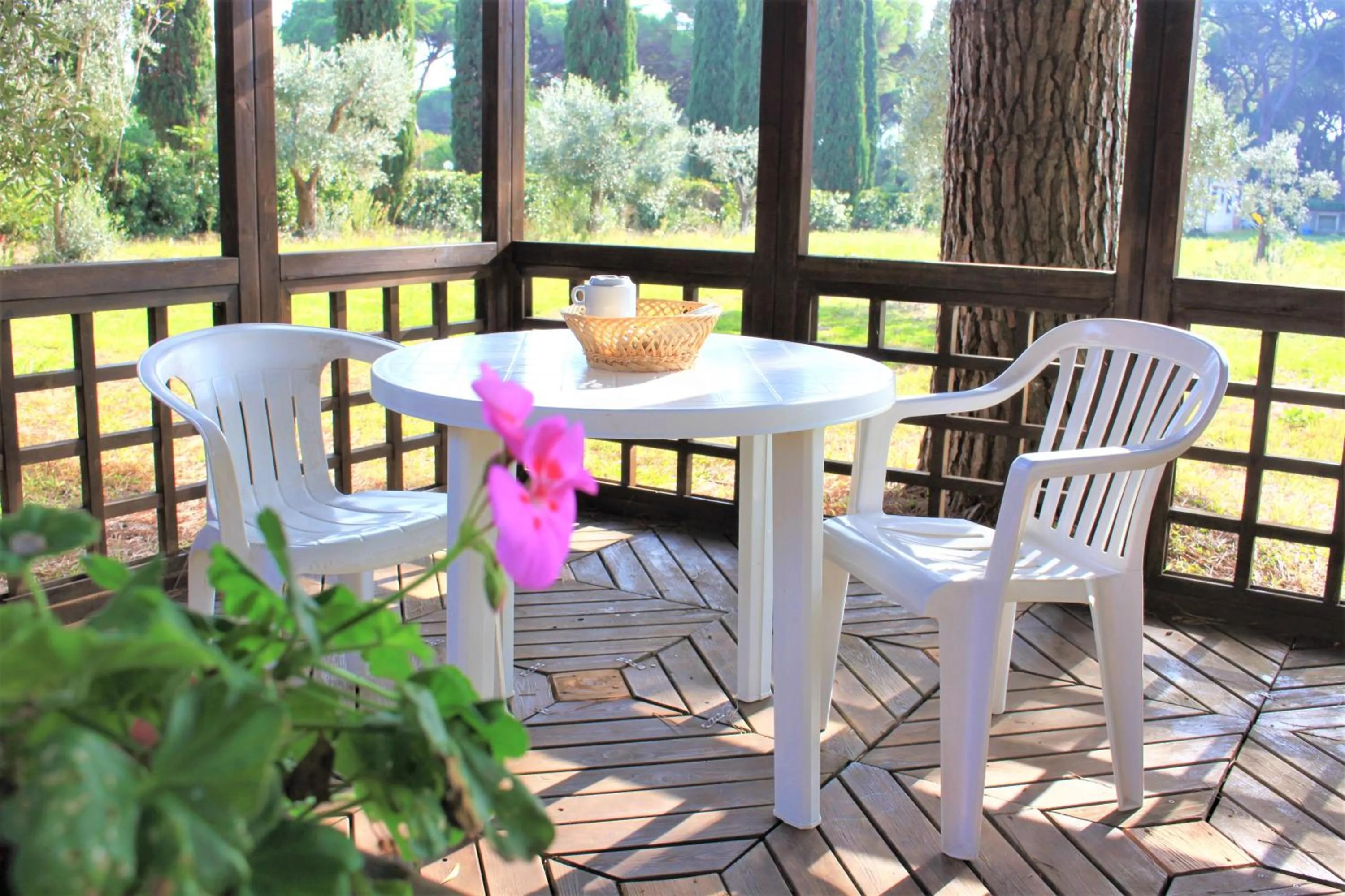 Patio in Residence La Canova II