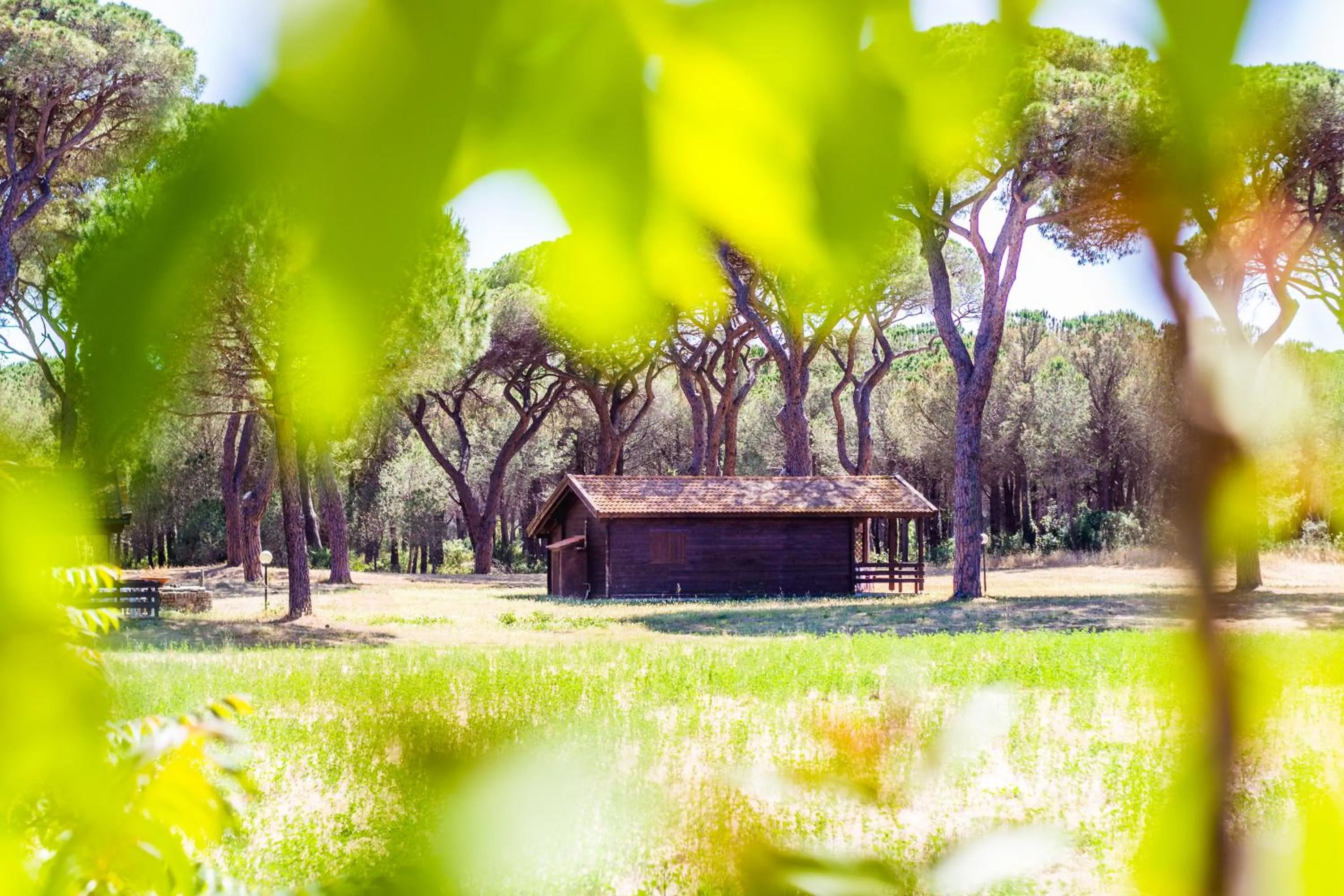Photo of the whole room in Residence La Canova II