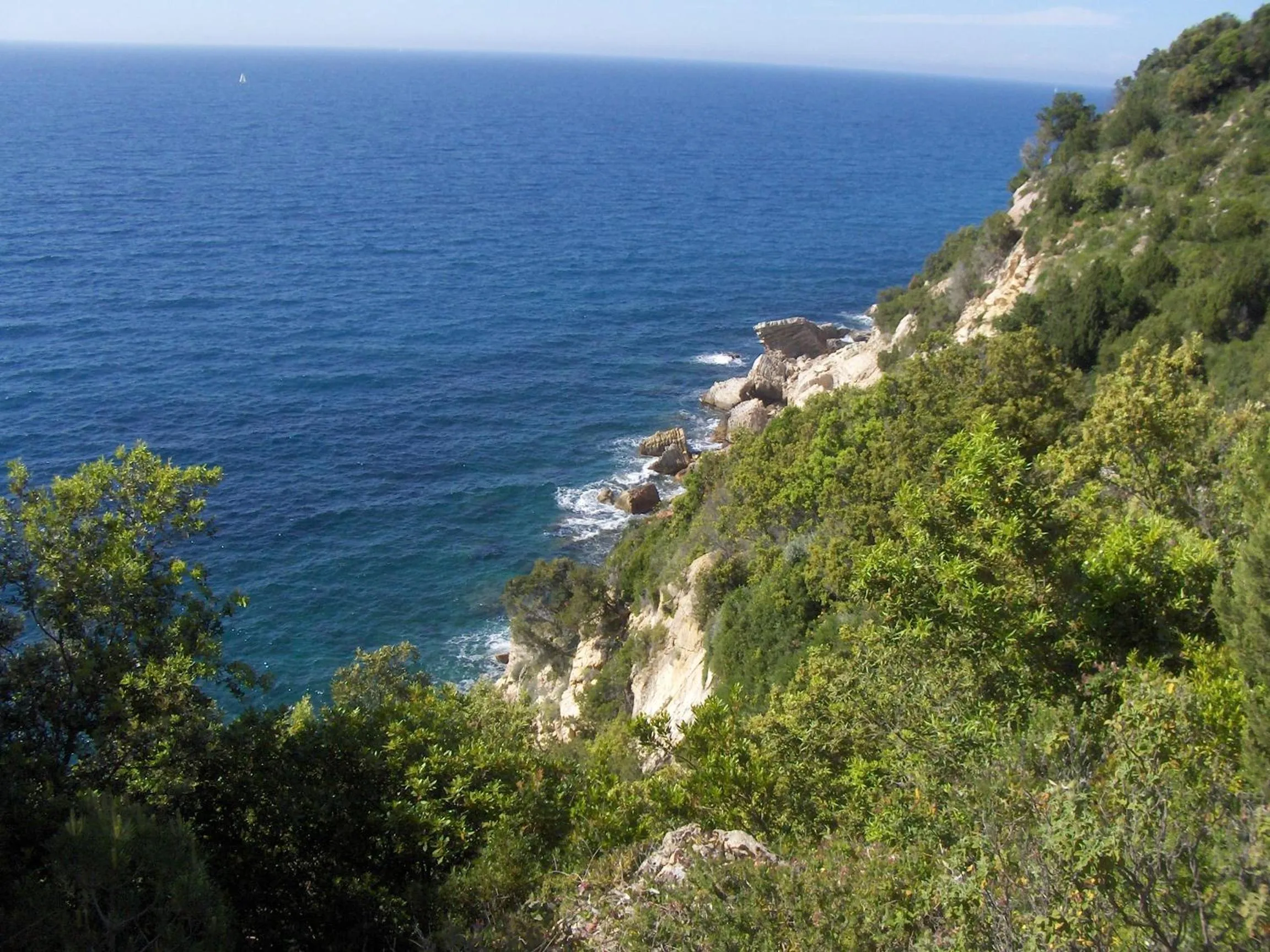 Off site in Cota Quinta