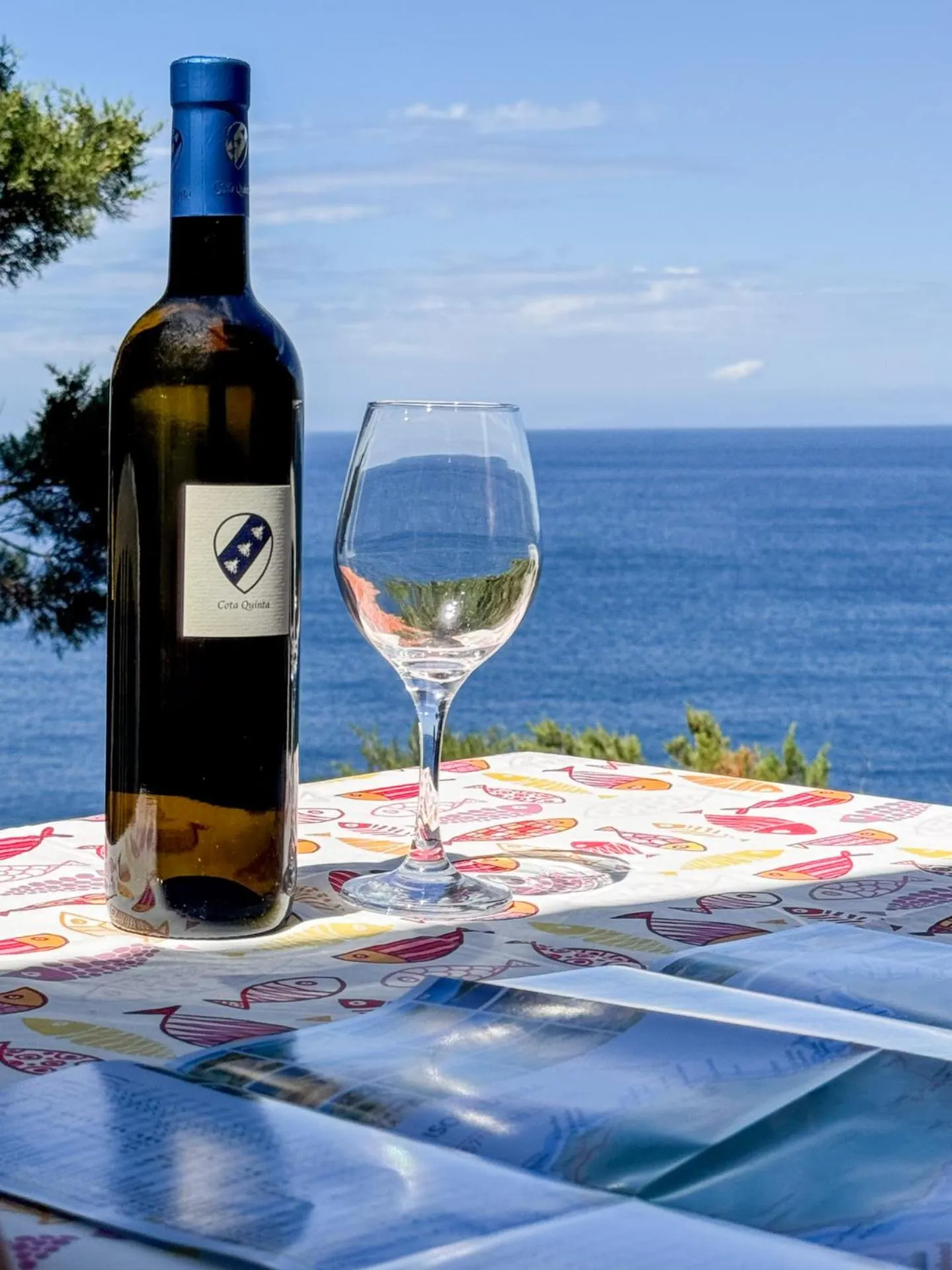 Cota Quinta