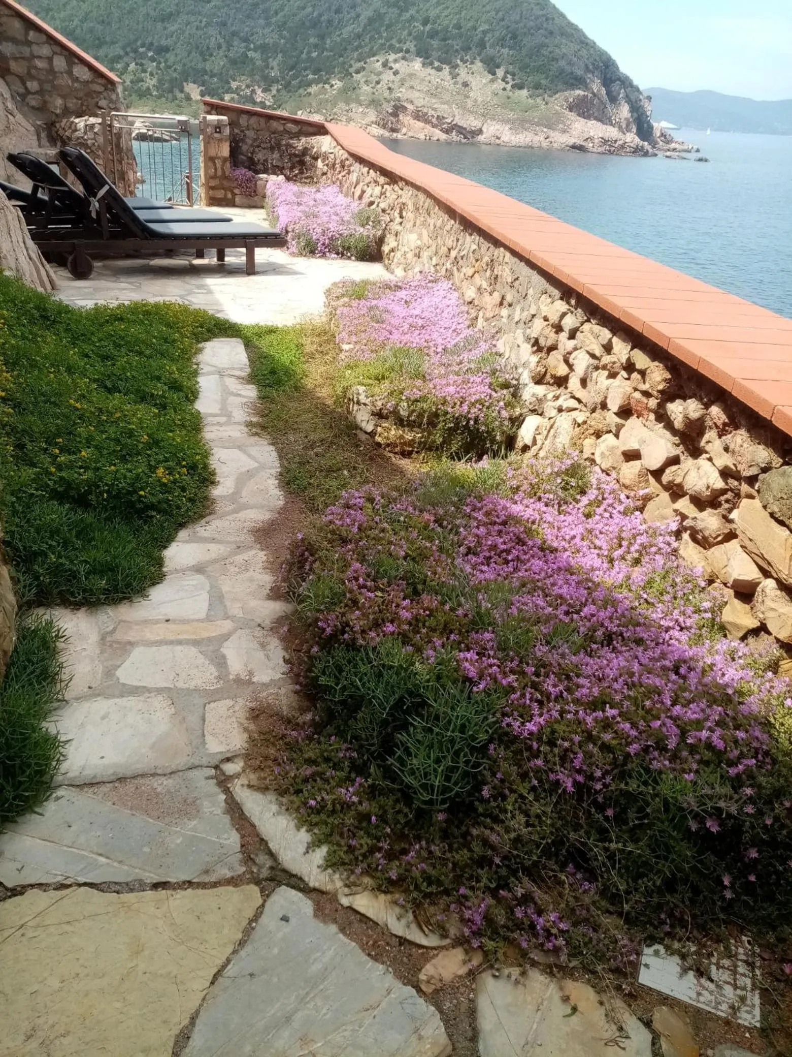 Property building in Cota Quinta