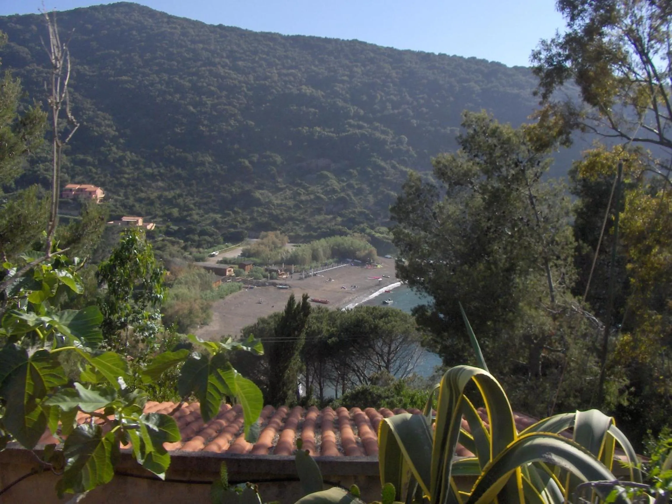 Spring in Cota Quinta