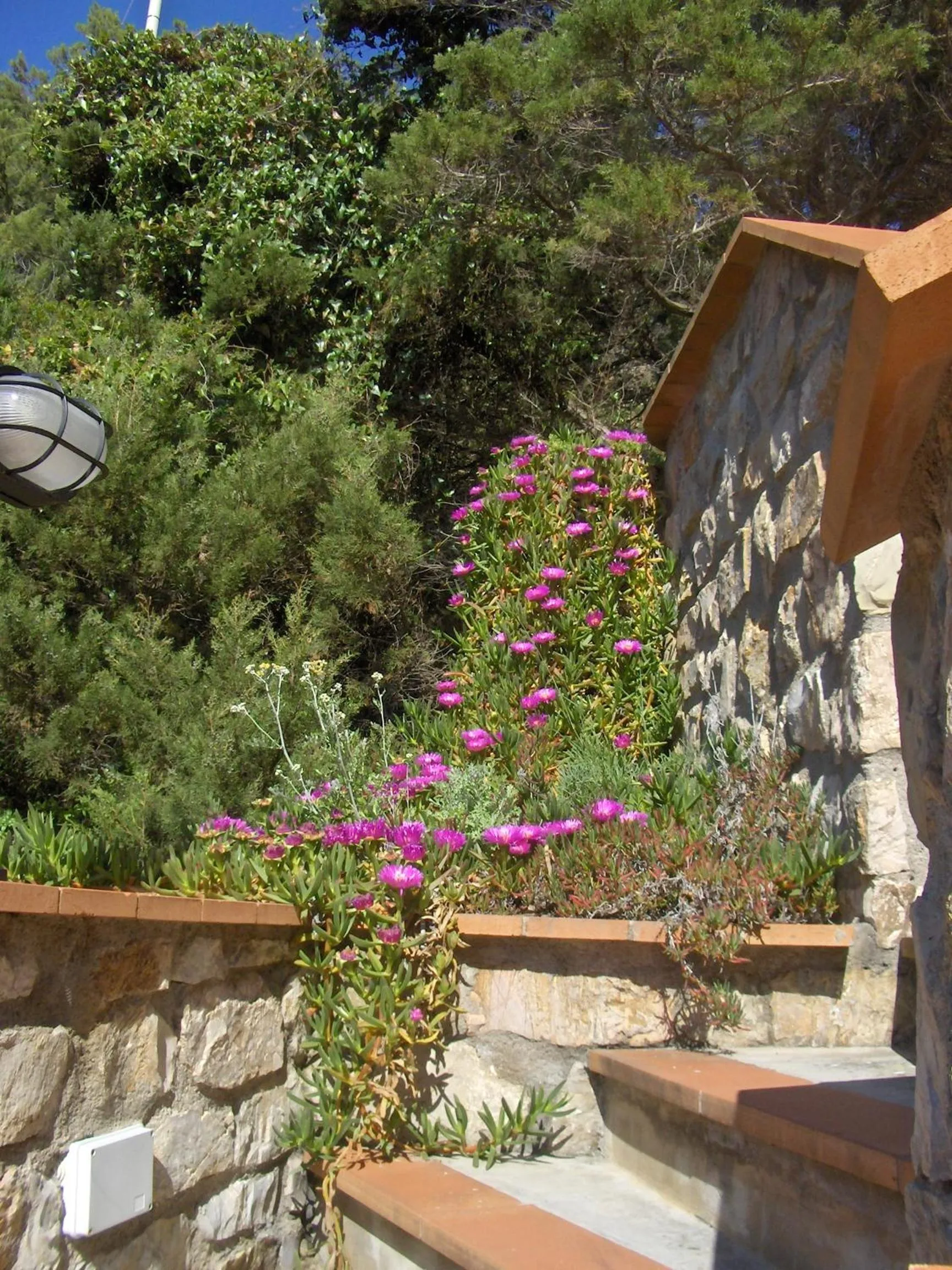 Garden in Cota Quinta