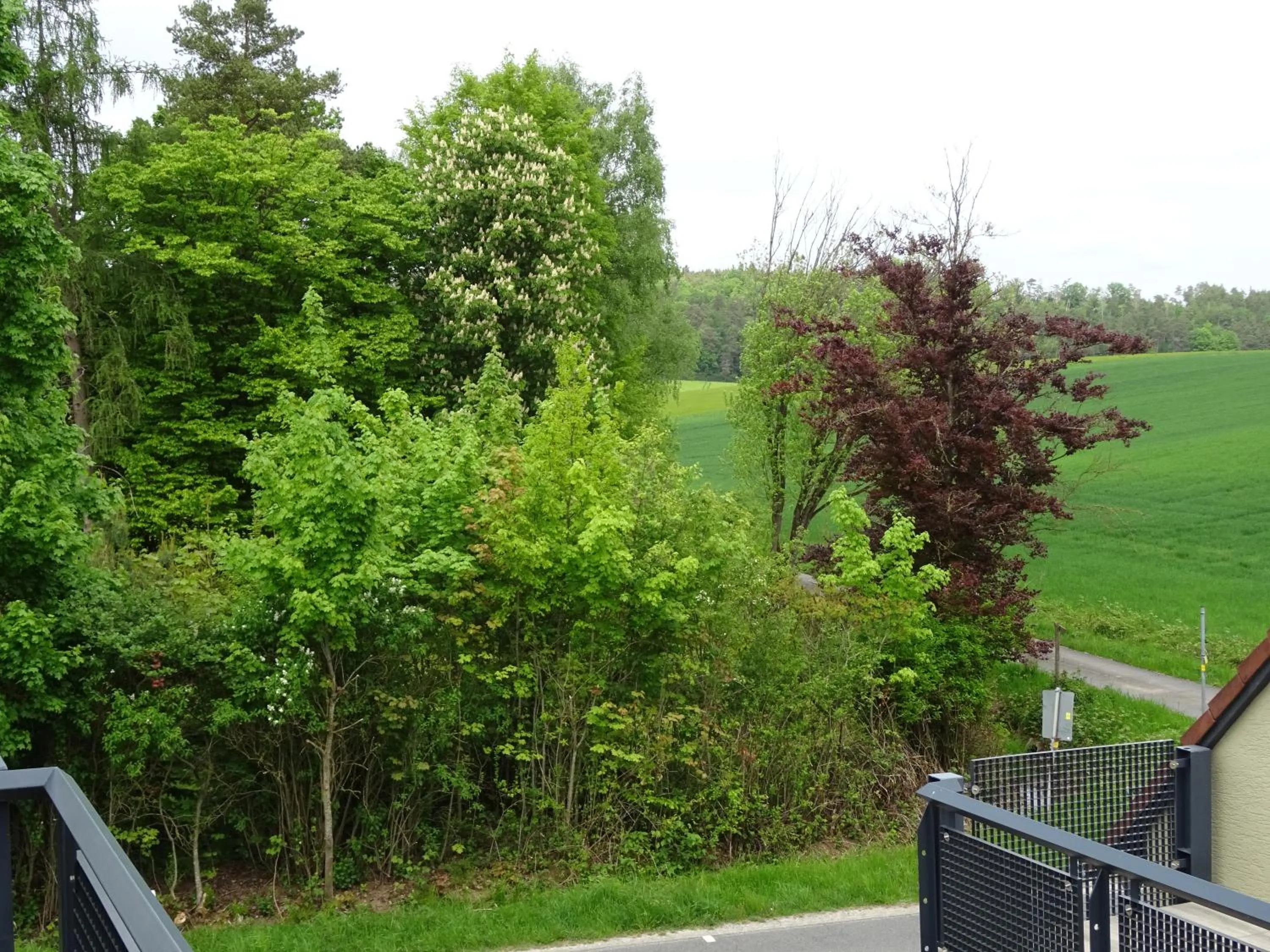 Natural landscape in Eventhotel Ö - Cappuccino