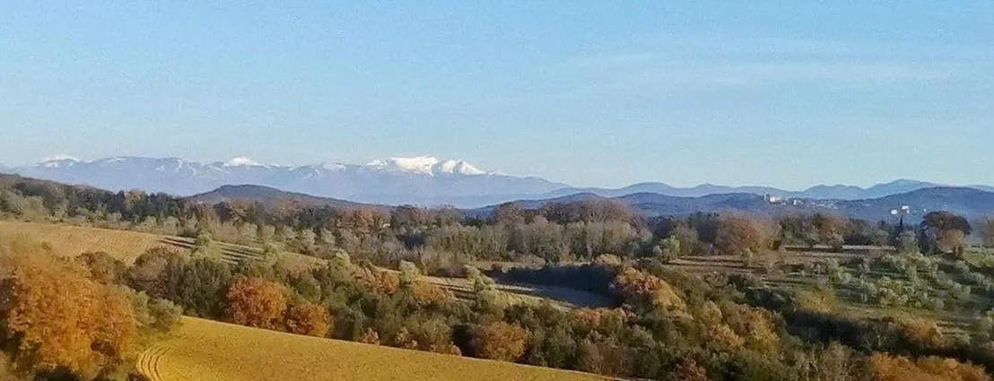 B&B and Wellness Il Pomario di Montepiglio Resort Naturista