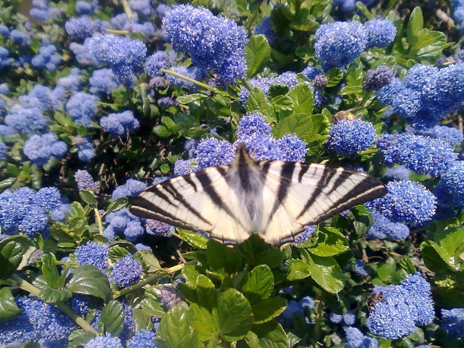 B&B and Wellness Il Pomario di Montepiglio Resort Naturista