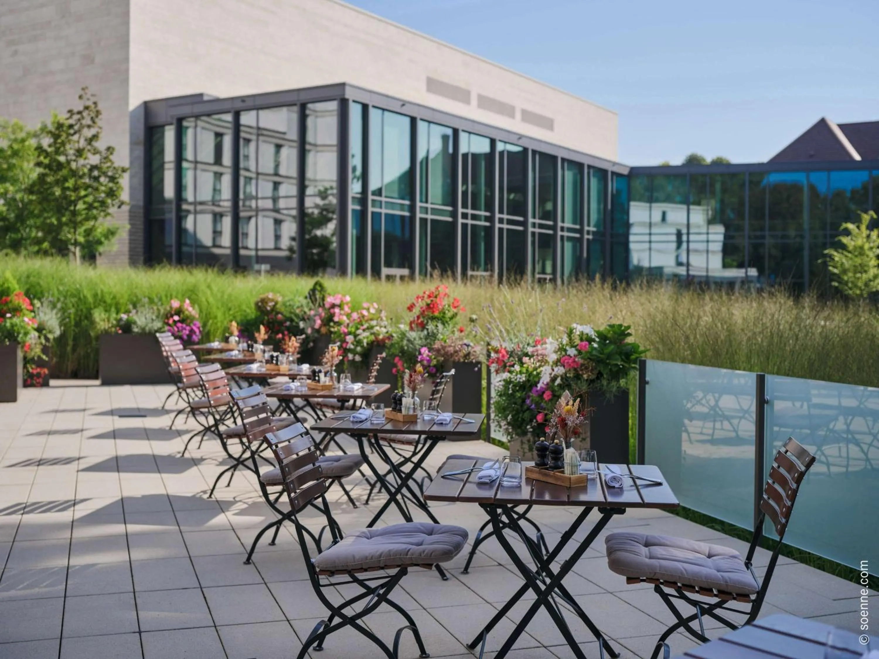 Restaurant/places to eat in Dorint Parkhotel Frankfurt / Bad Vilbel