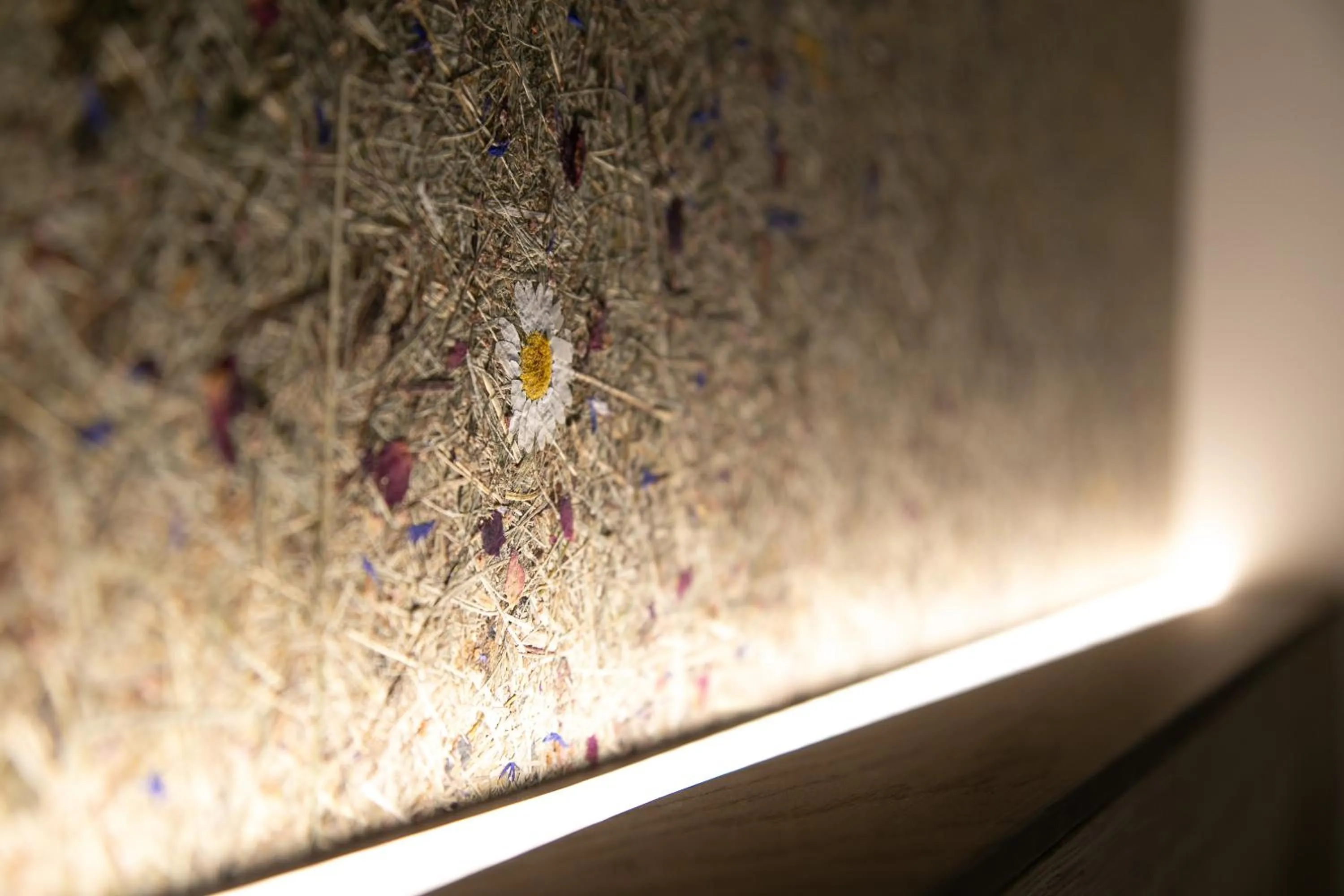 Other in Hotel am Wald