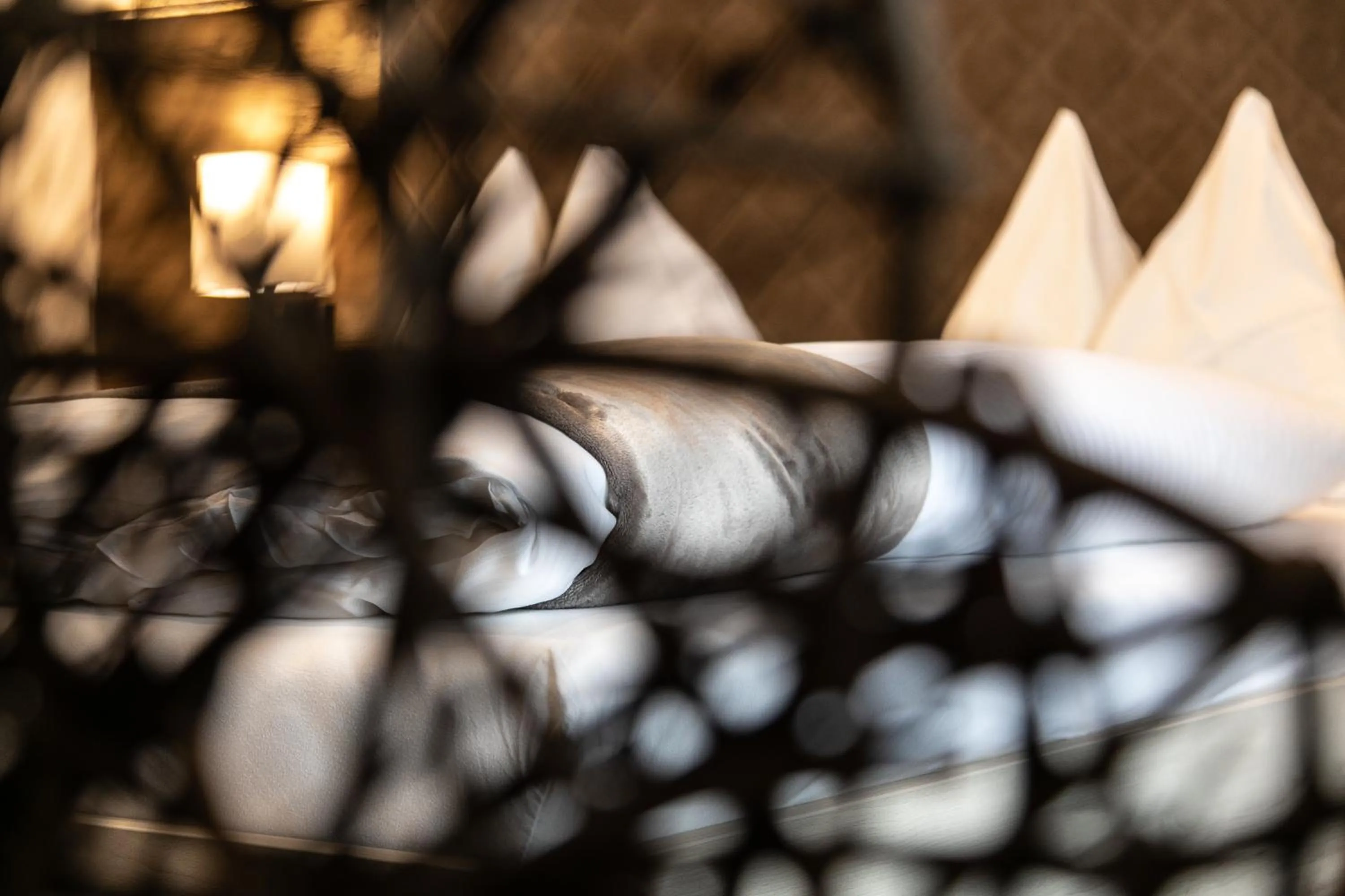 Photo of the whole room, Bed in Hotel am Wald