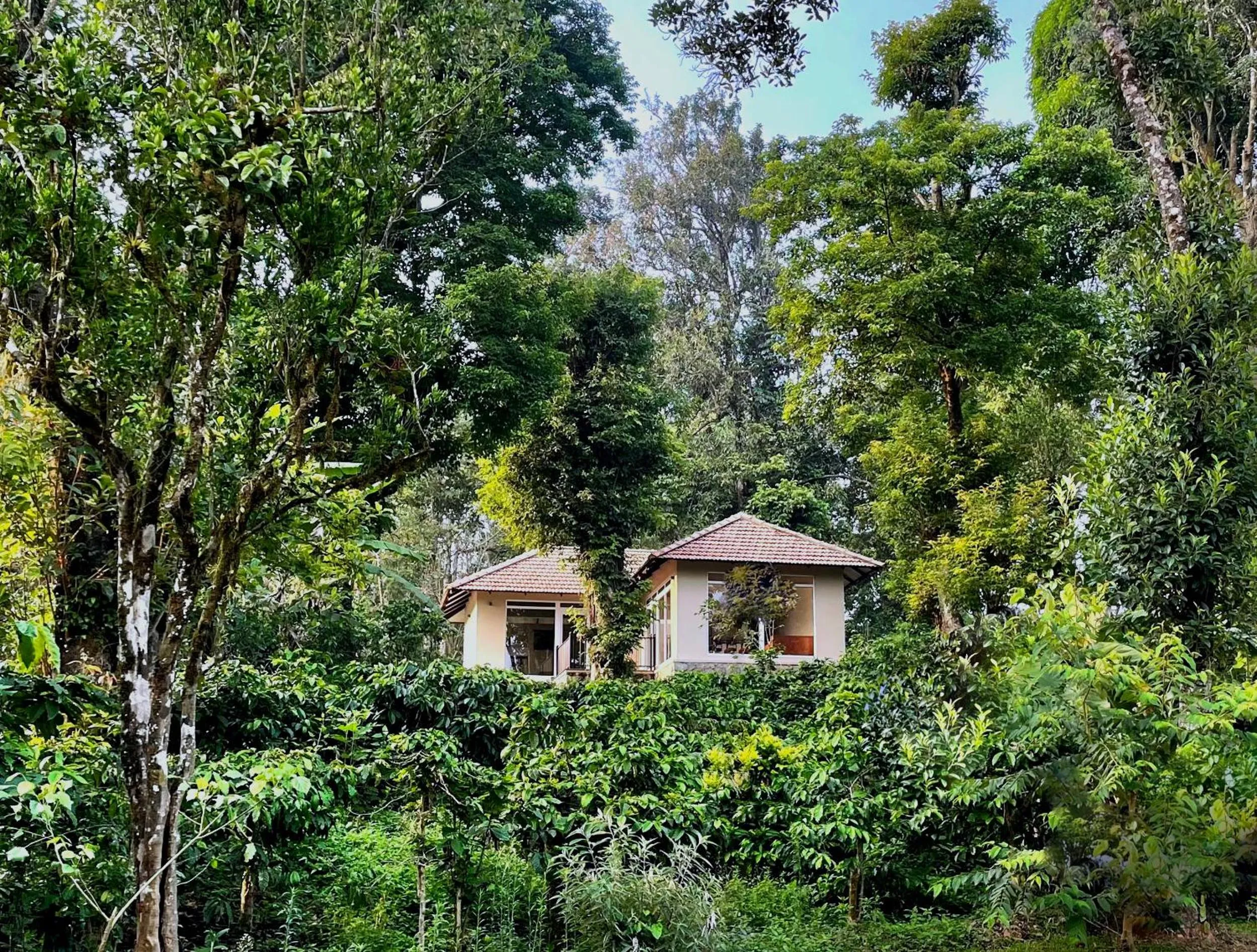 View (from property/room) in Montrose Golf Resort and Spa - Coorg