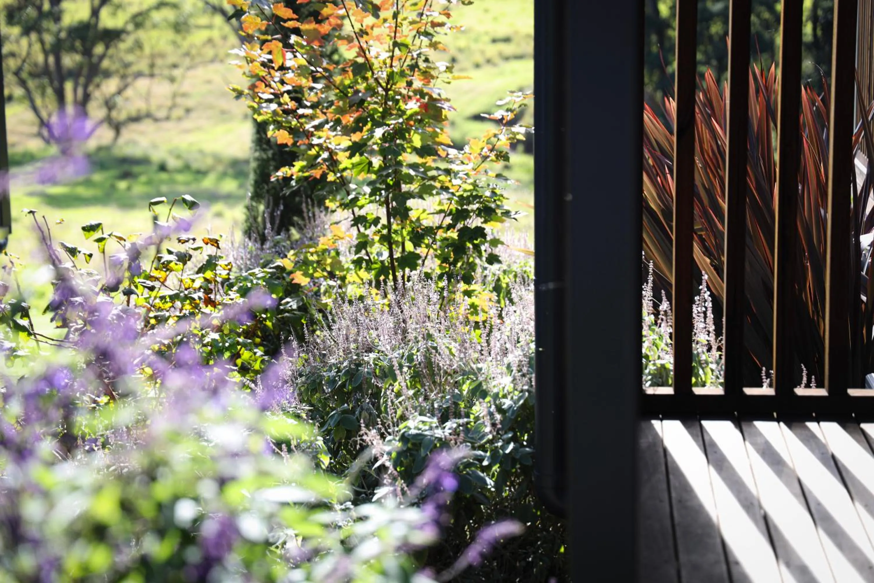 Spring in Cupitt's Estate Villas