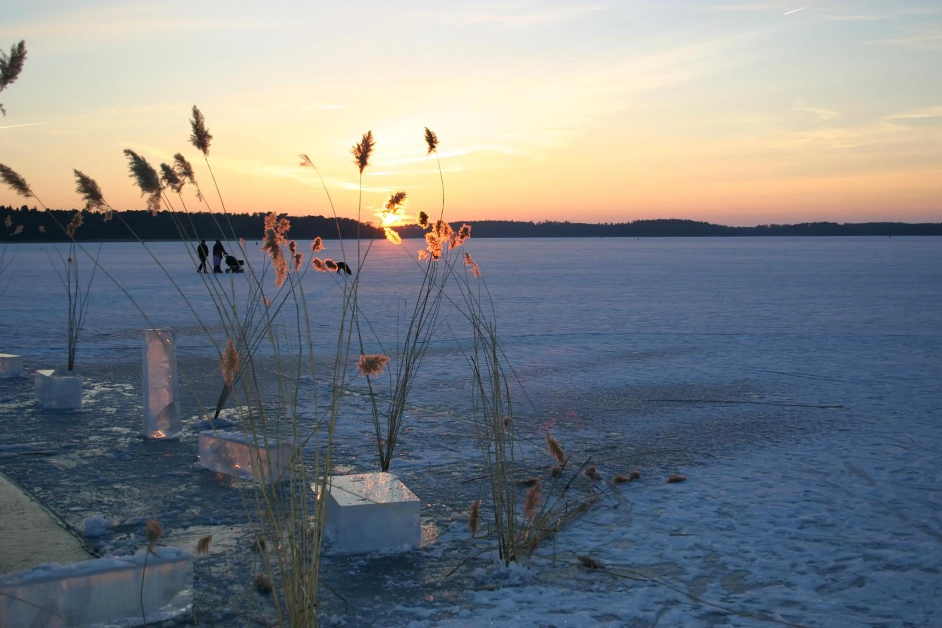 Natural landscape in Seehotel Schloss Klink