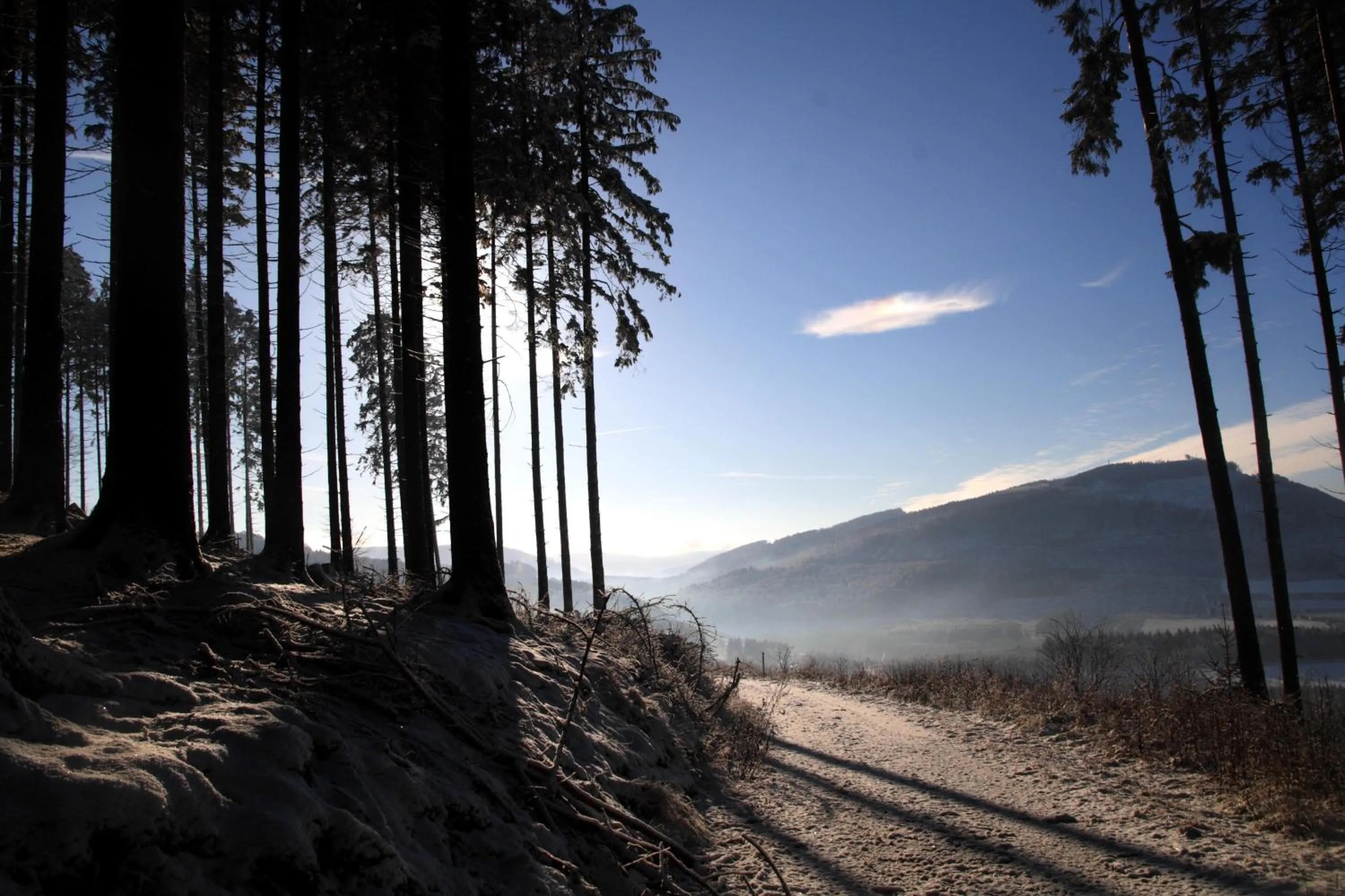 Winter in Waldhotel Schinkenwirt