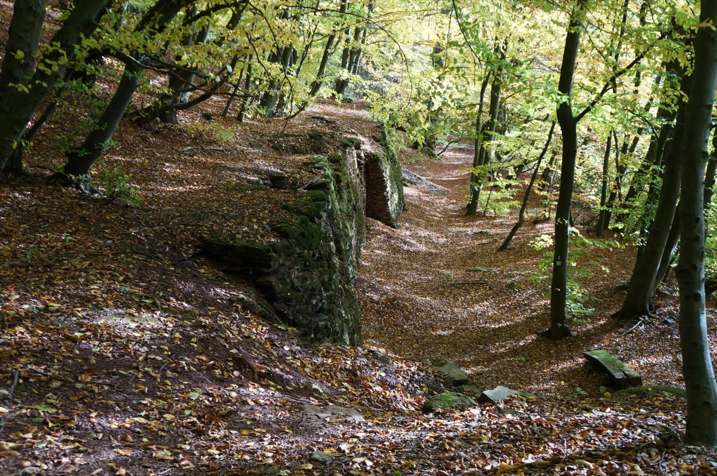 Hiking in Waldhotel Schinkenwirt