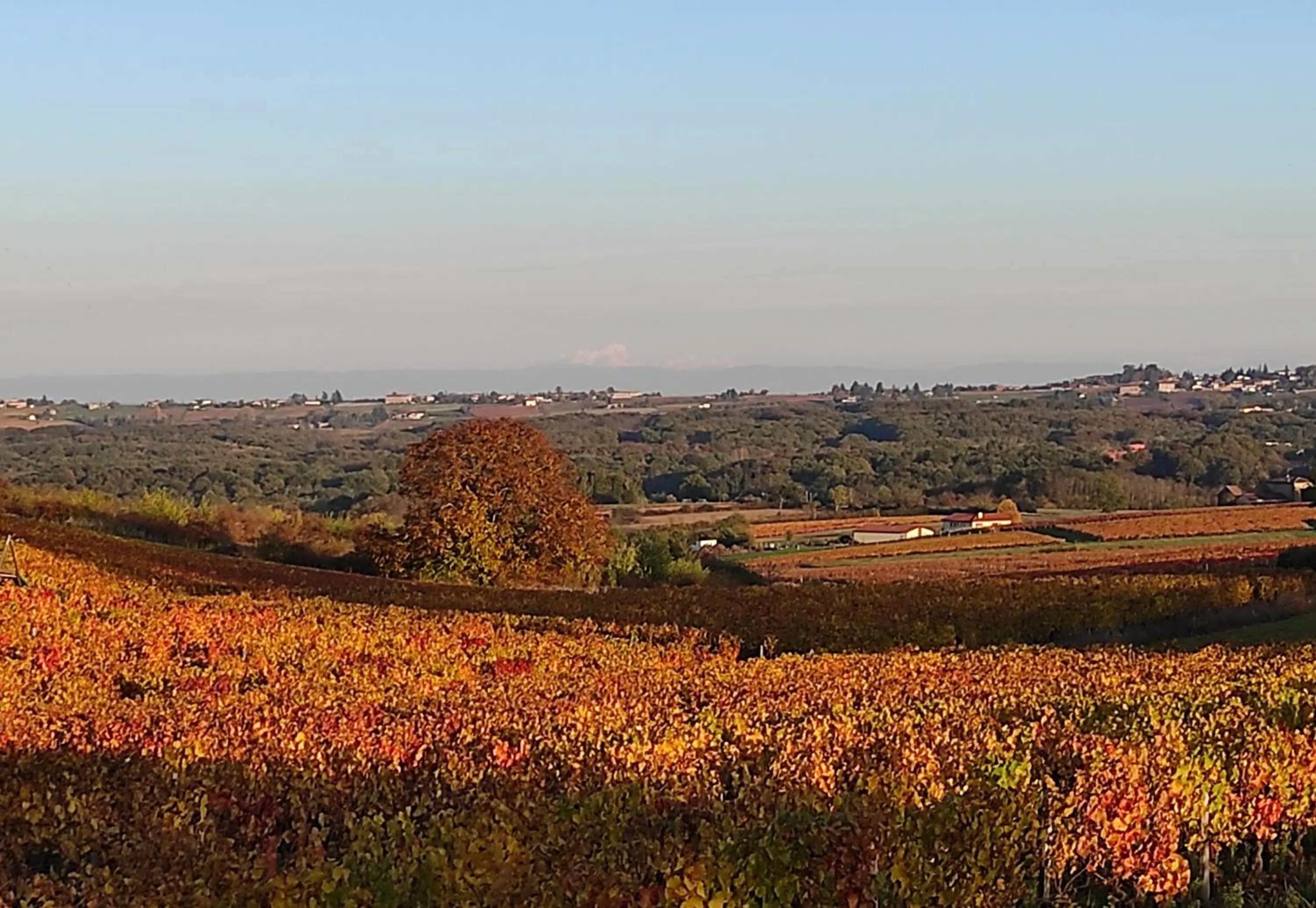 Hiking in Appartement Bagnols - Les Meublés des Pierres Dorées