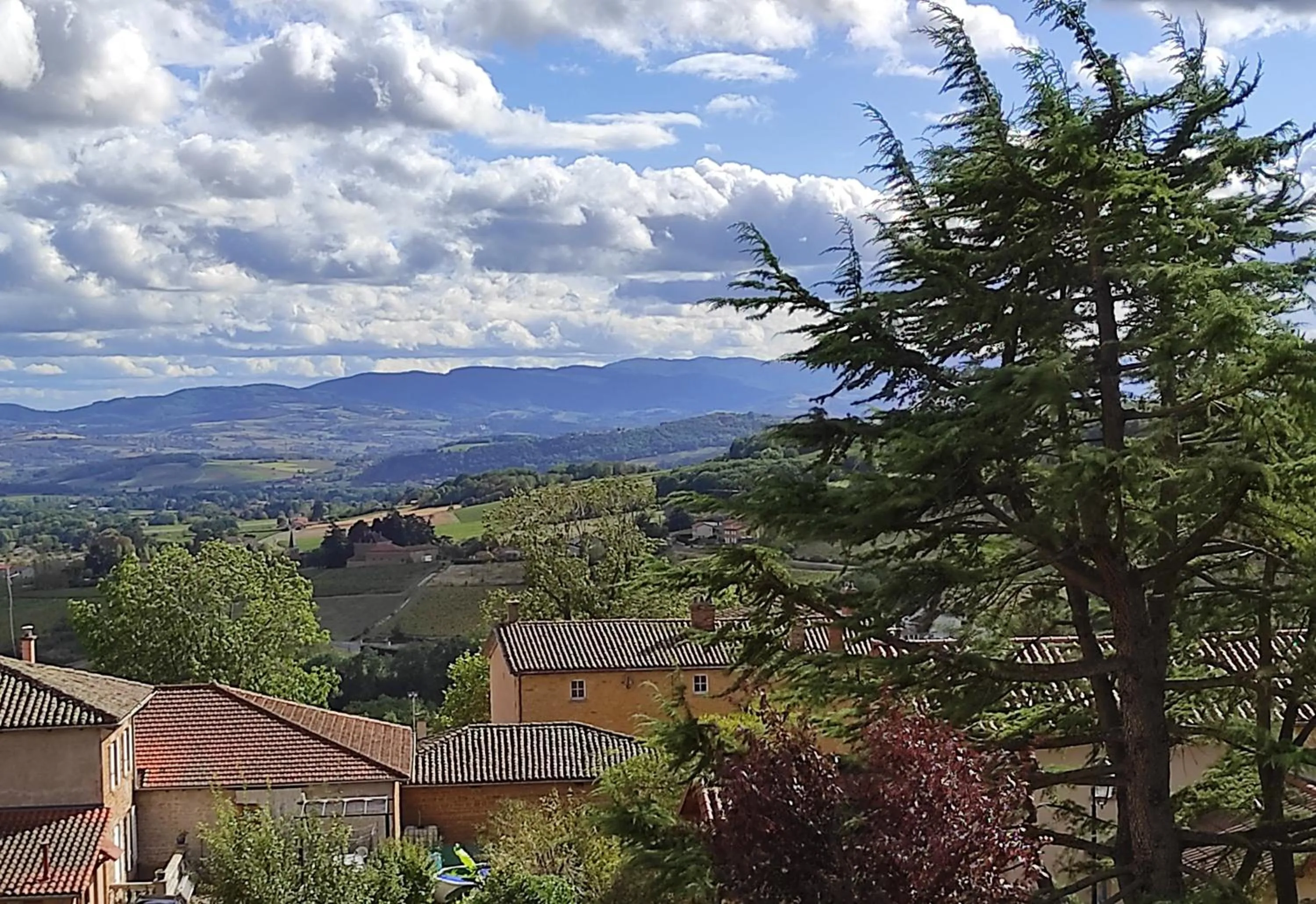 Mountain view in Appartement Bagnols - Les Meublés des Pierres Dorées