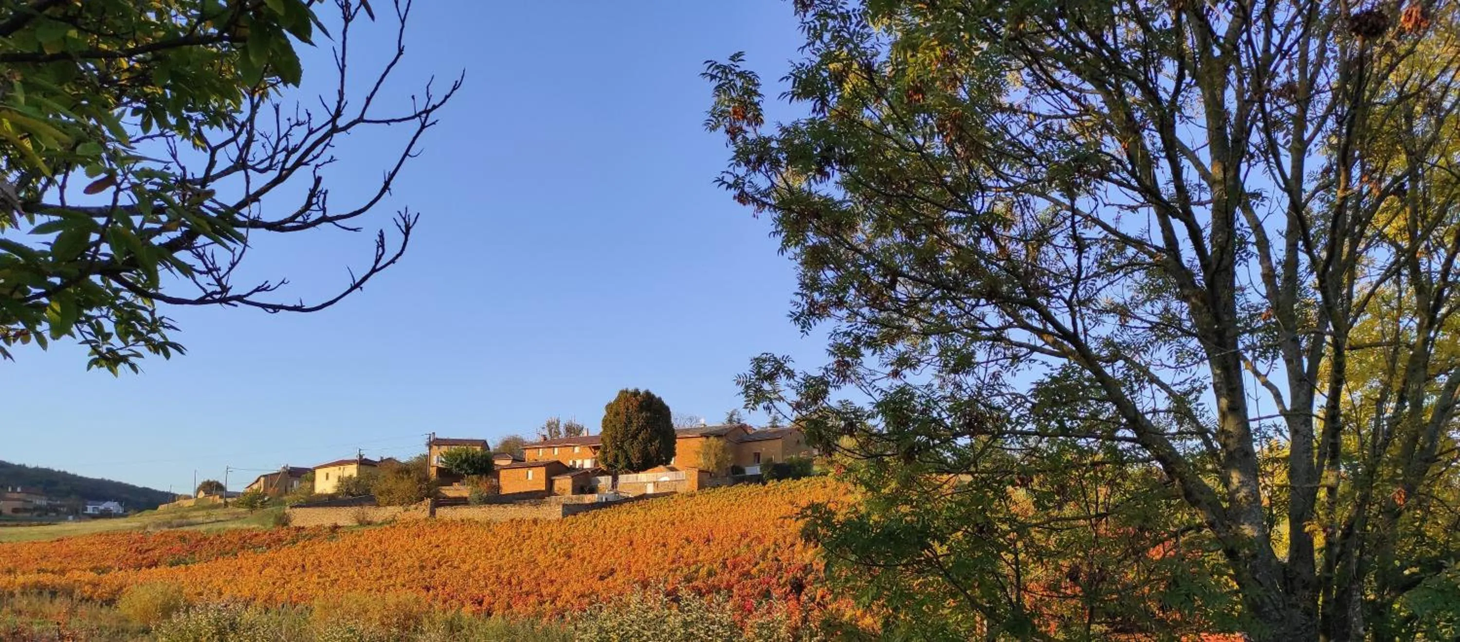 Hiking in Appartement Bagnols - Les Meublés des Pierres Dorées
