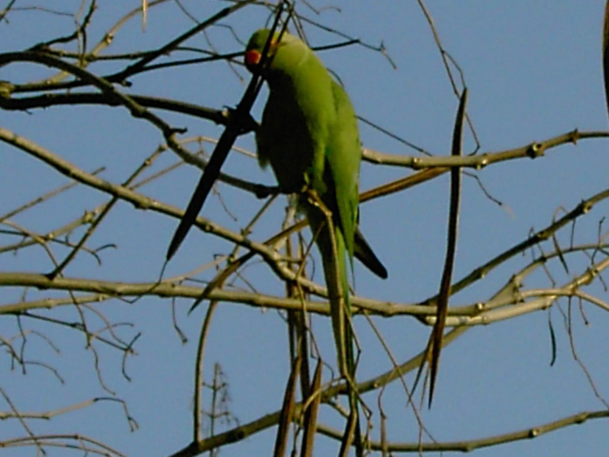 Other in Villa Benz Hotel garni