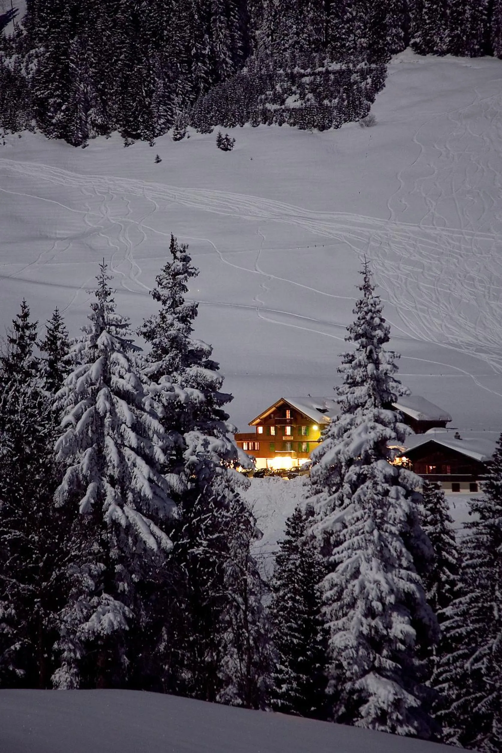 Area and facilities in Hotel Des Alpes