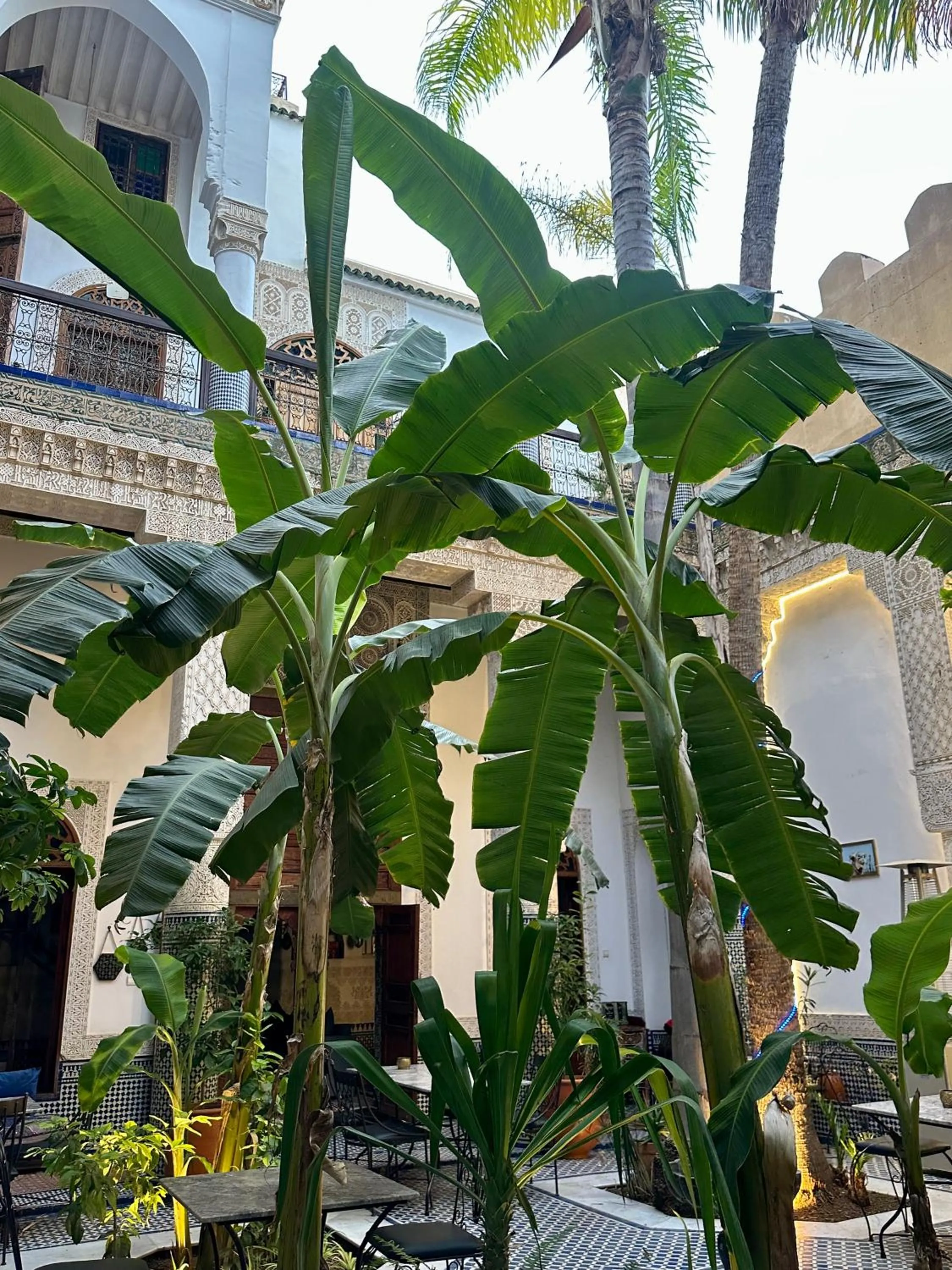 RIAD LOUDAYA AND SPA