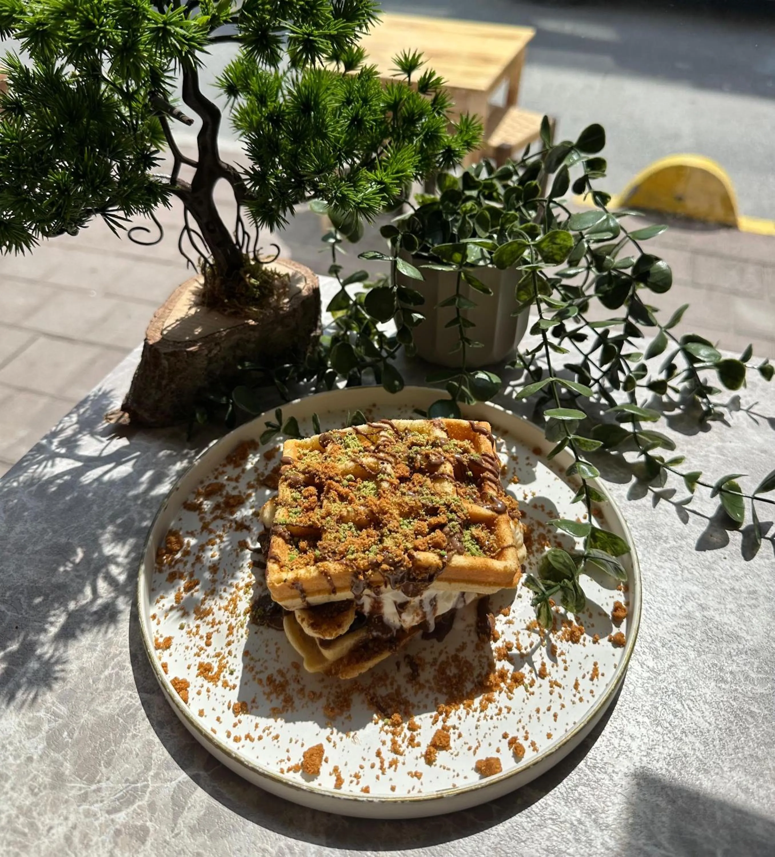 Restaurant/places to eat in Guler Palas Hotel