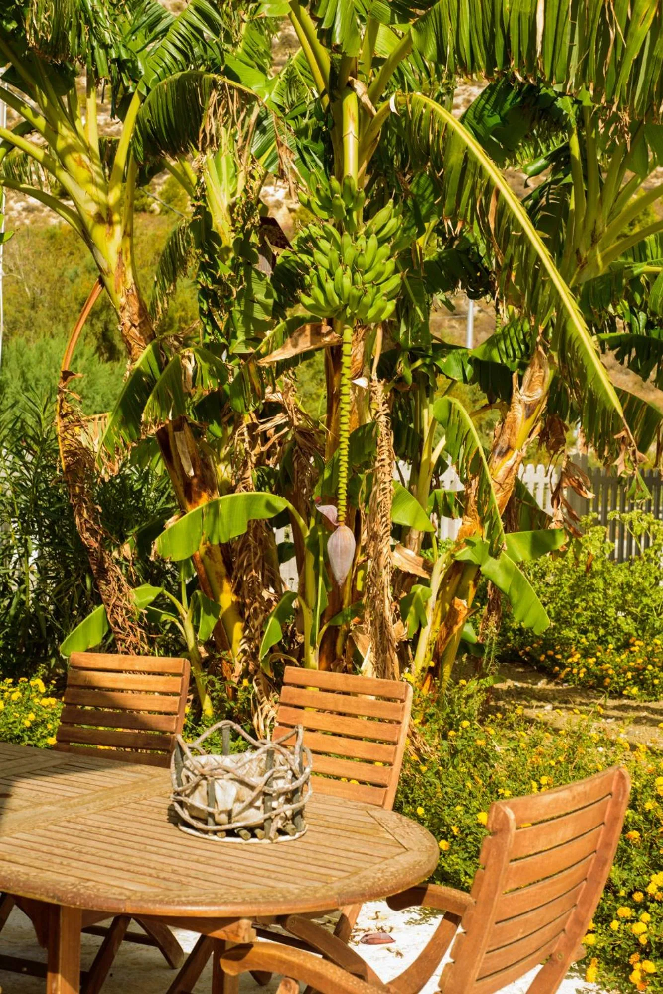 B&B Fermata 106 da Carolina