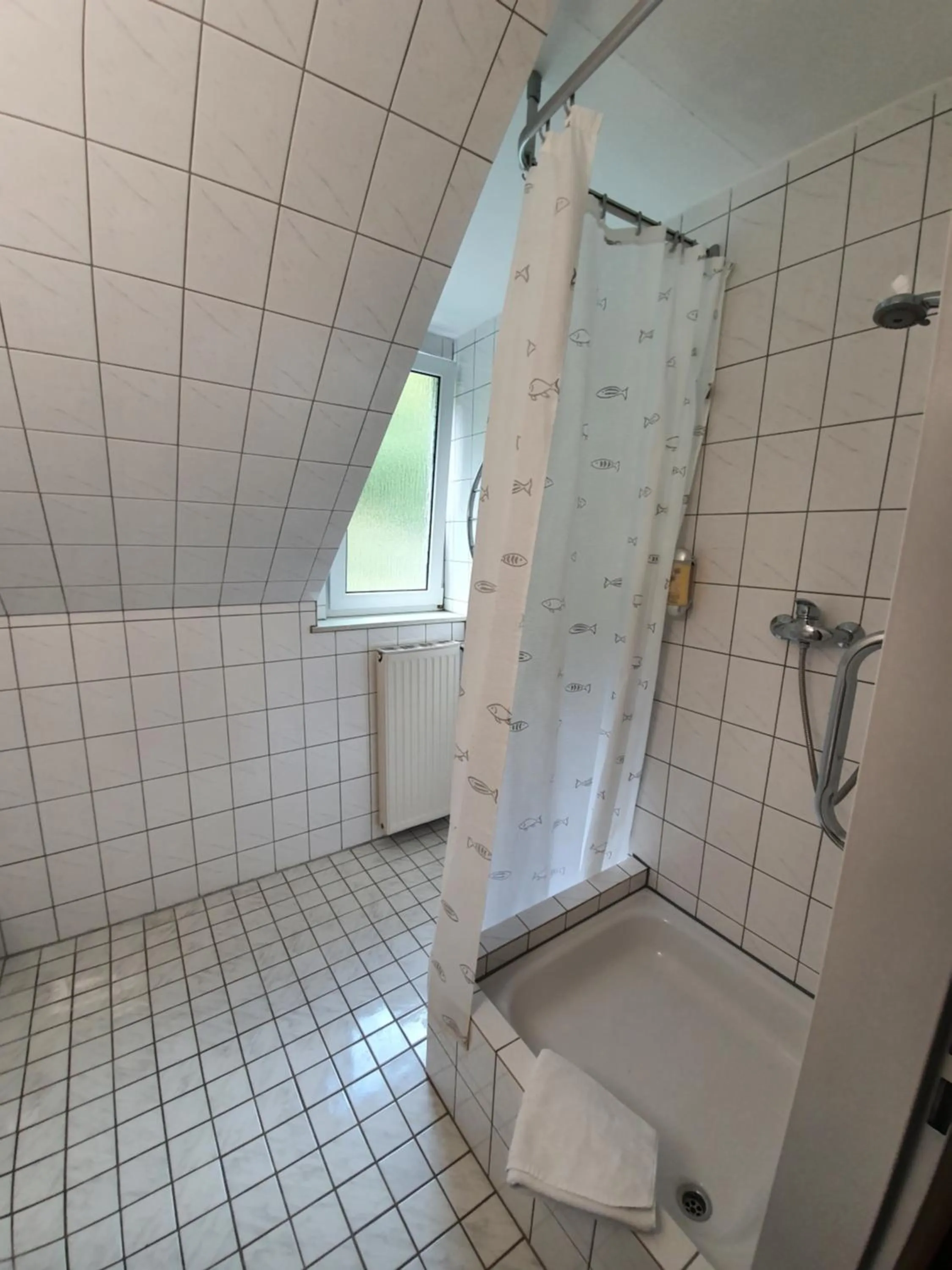 Shower in Hotel Bergschlösschen