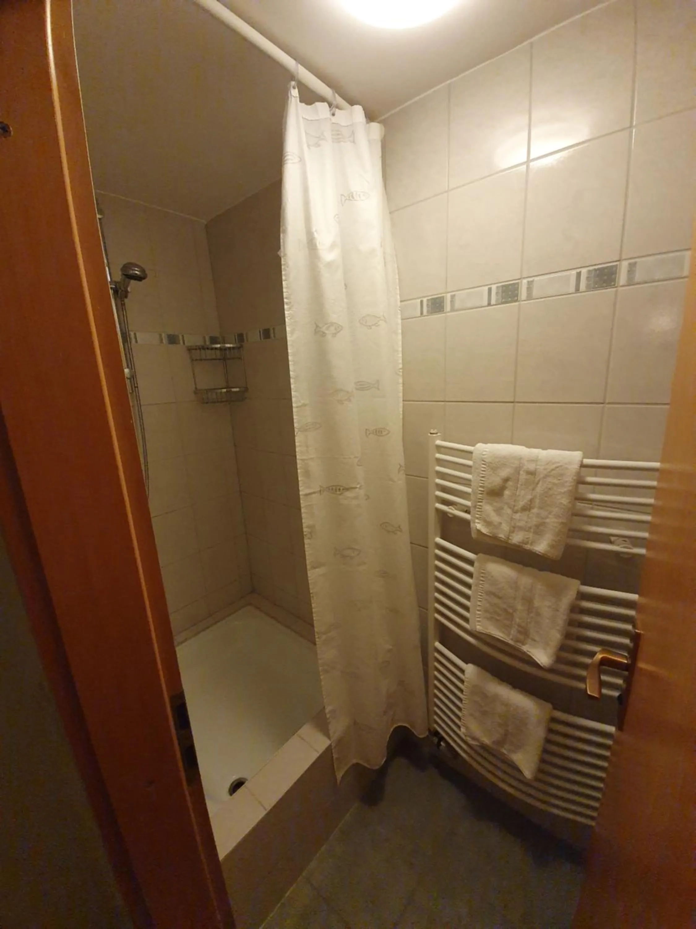 Shower in Hotel Bergschlösschen