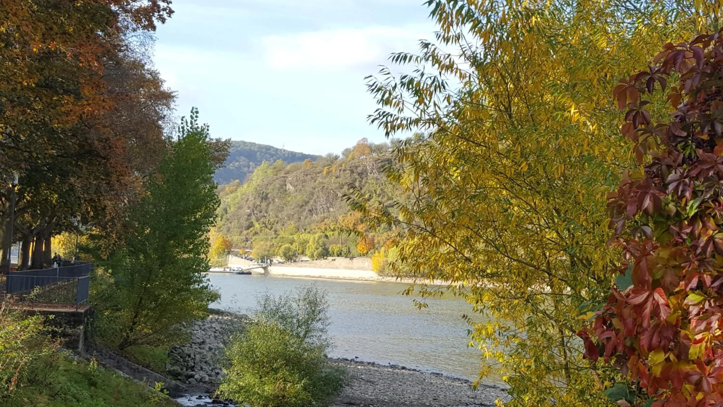 Natural landscape in Hotel Bergschlösschen