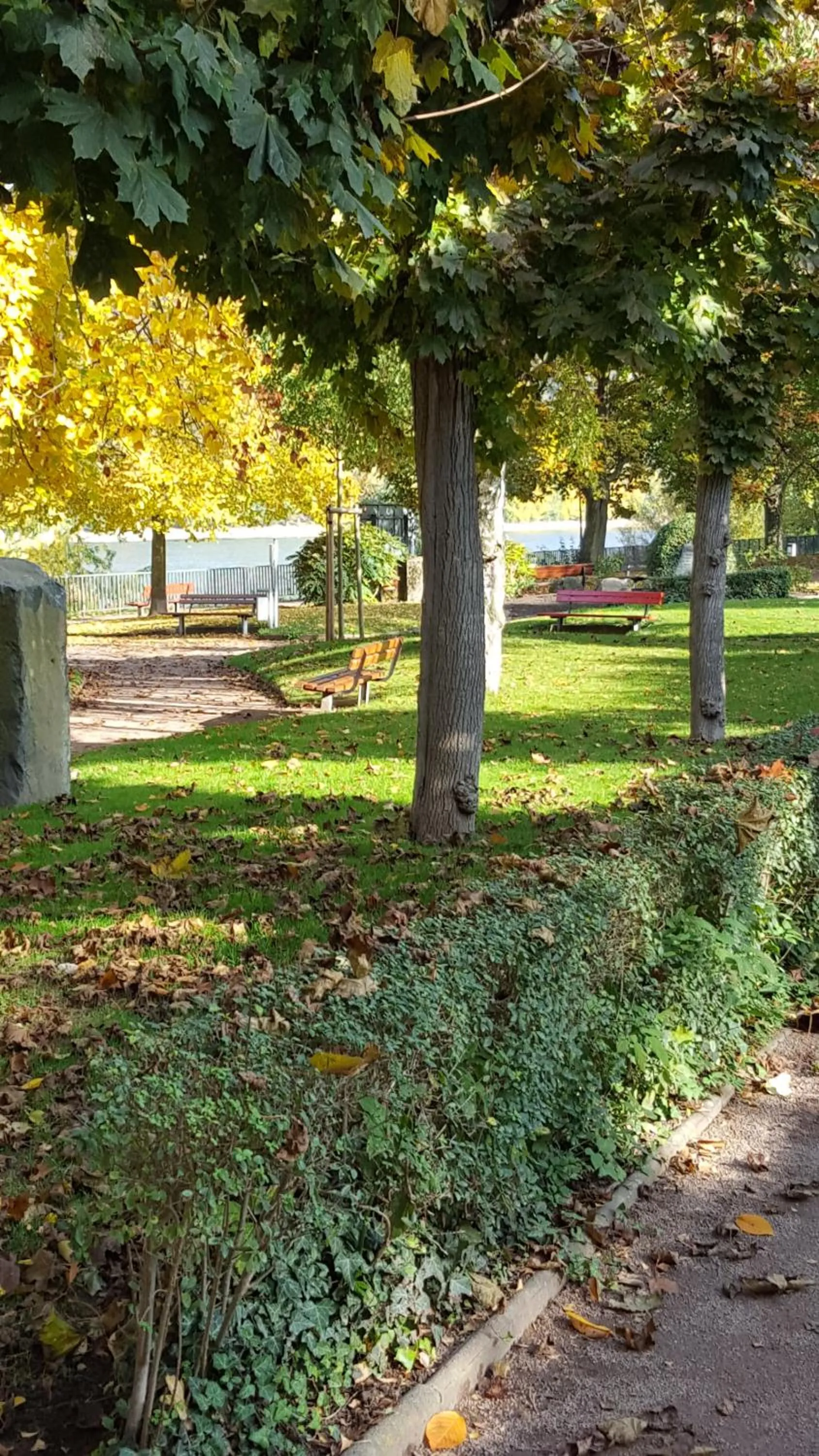 Natural landscape in Hotel Bergschlösschen