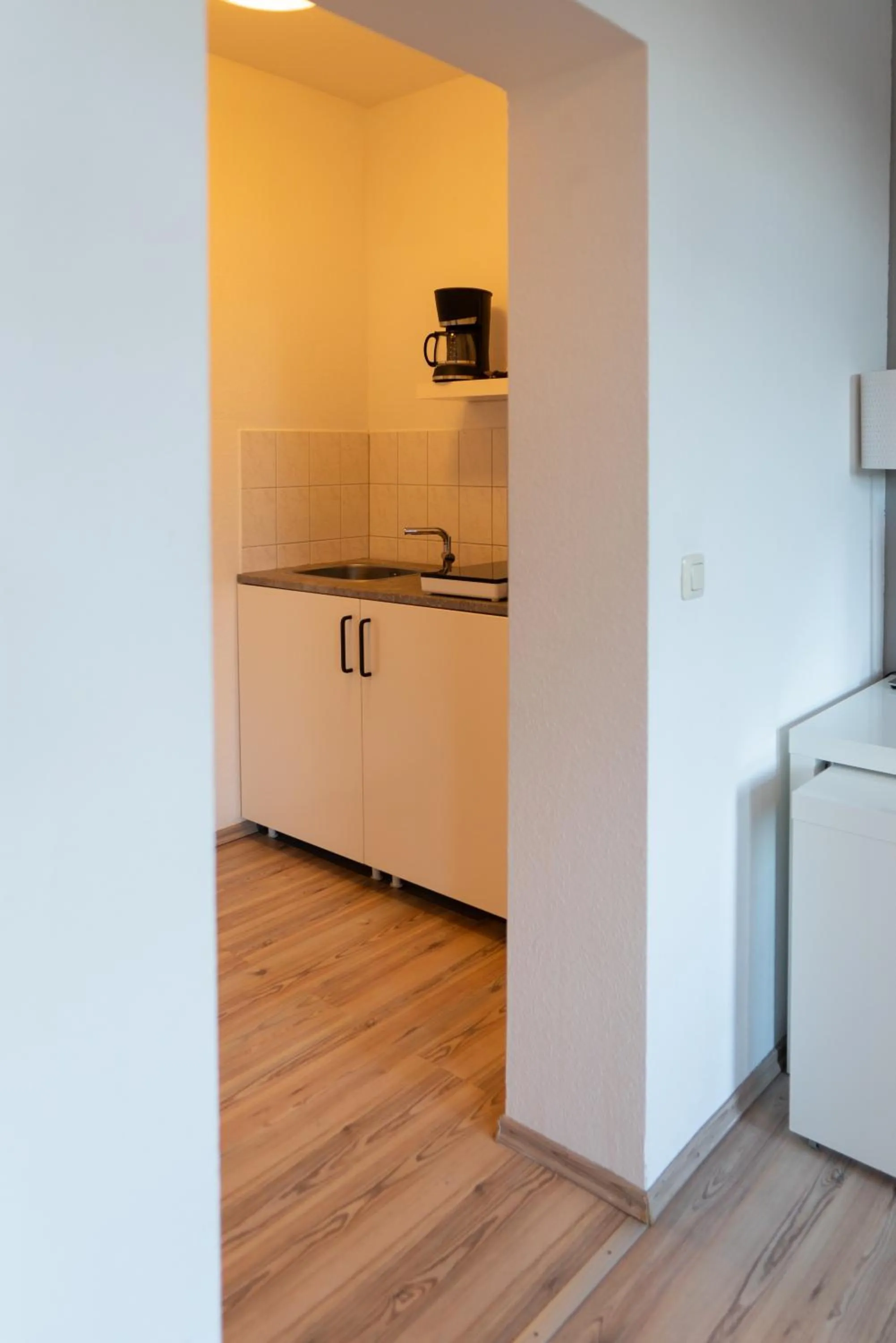 Kitchen or kitchenette in Apartment Hotel Lindeneck