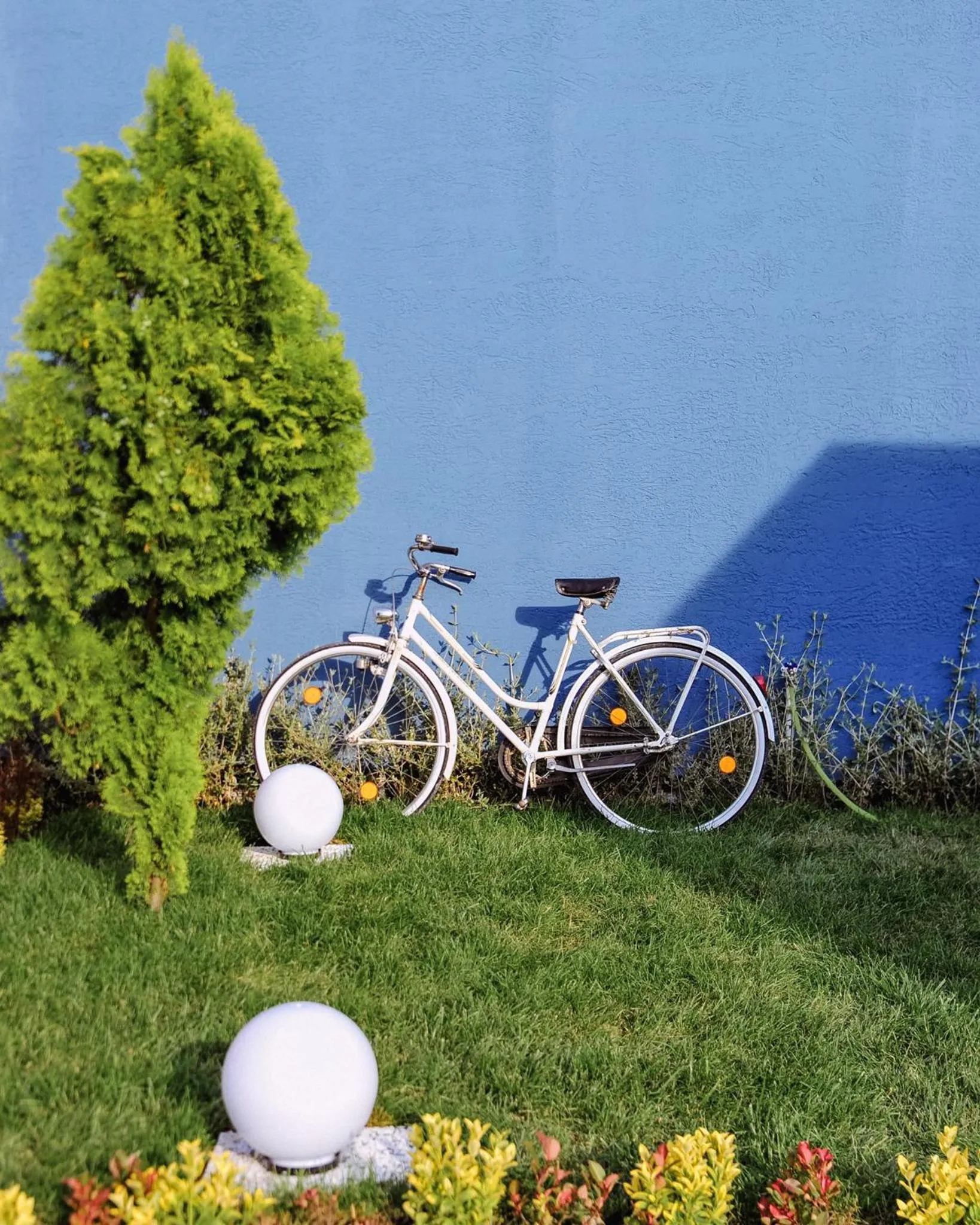 Garden view in Minimalist Sapanca