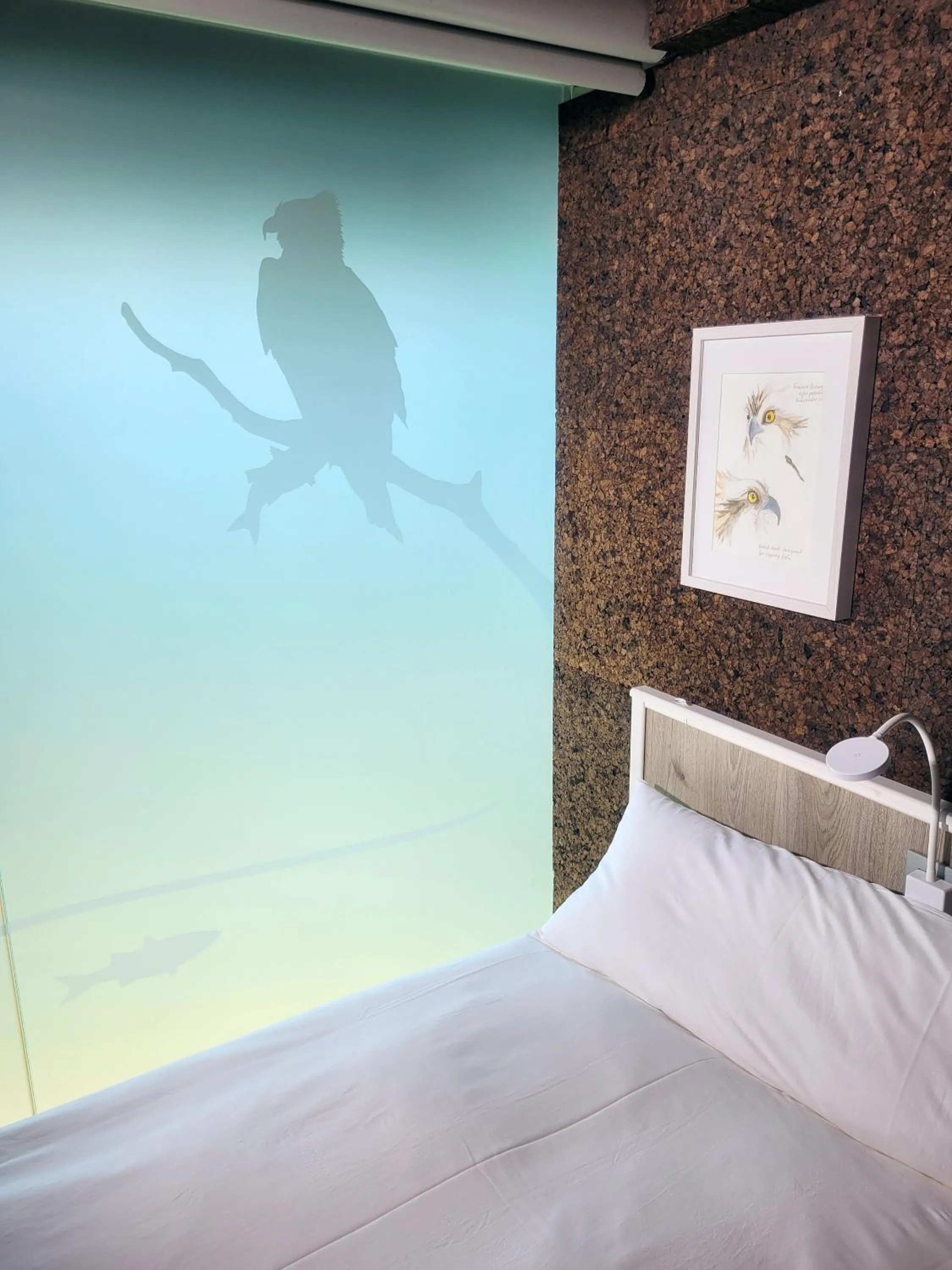 Bed in Urdaibai Bird Center