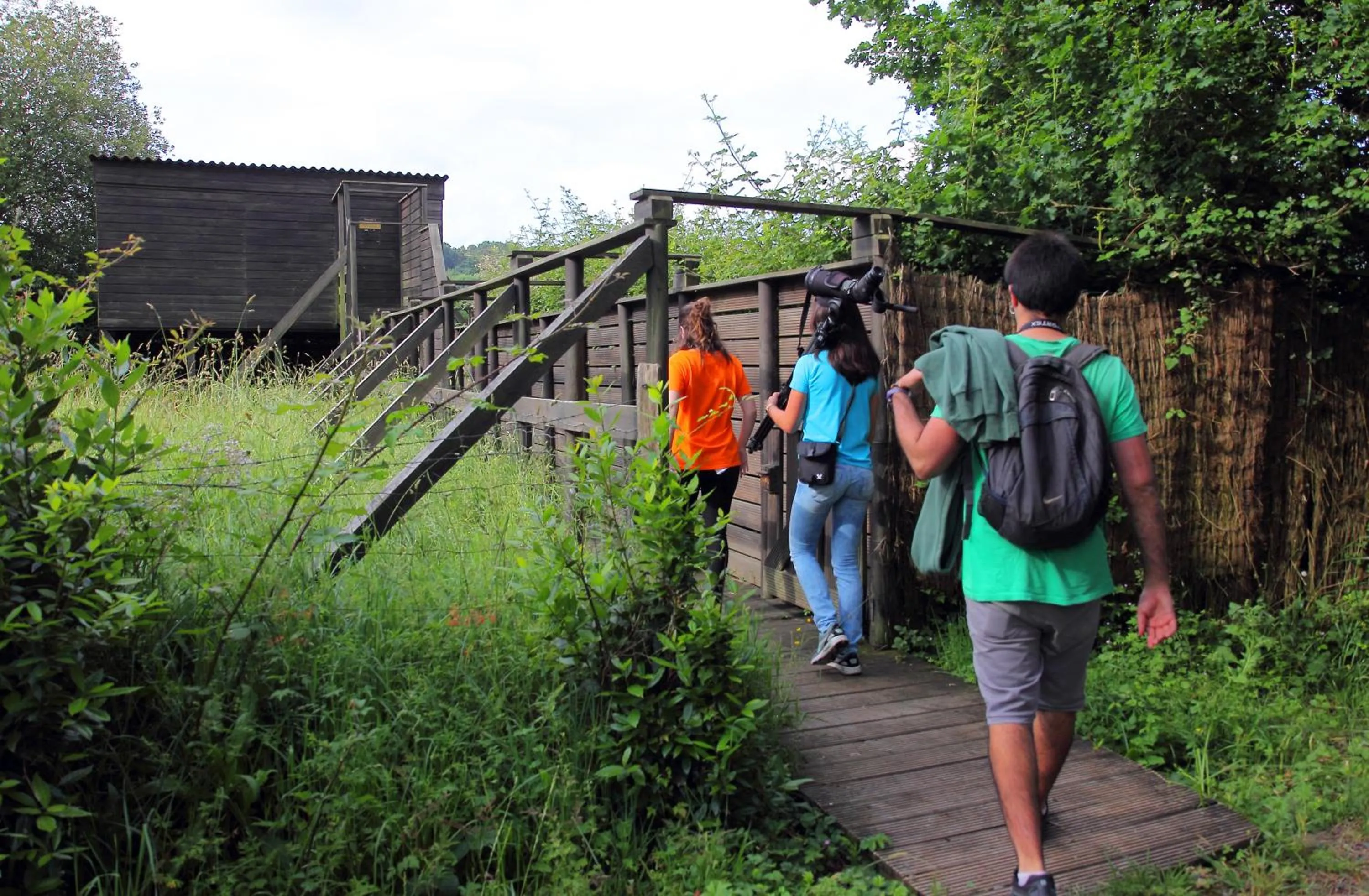 Off site in Urdaibai Bird Center