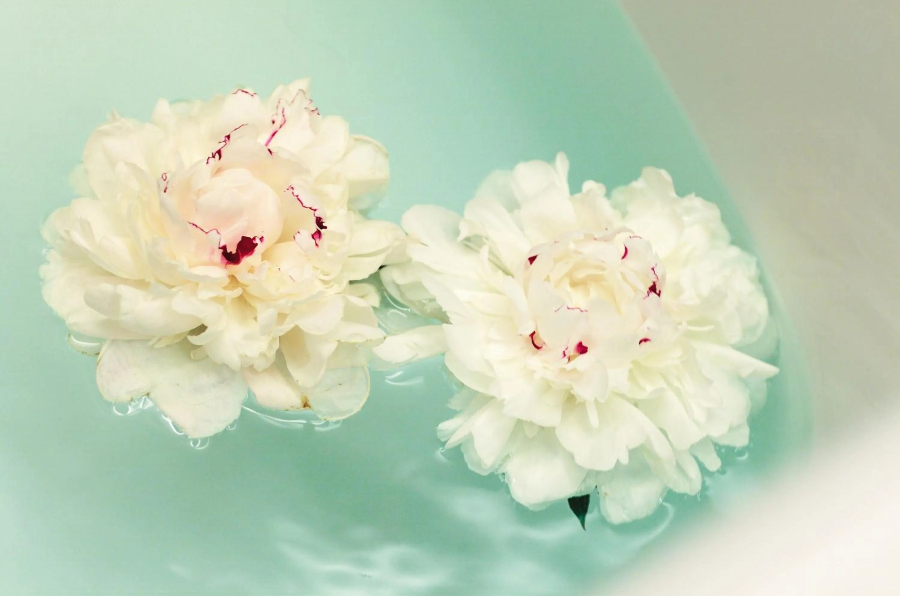 Decorative detail in Skihotel Galzig B&B