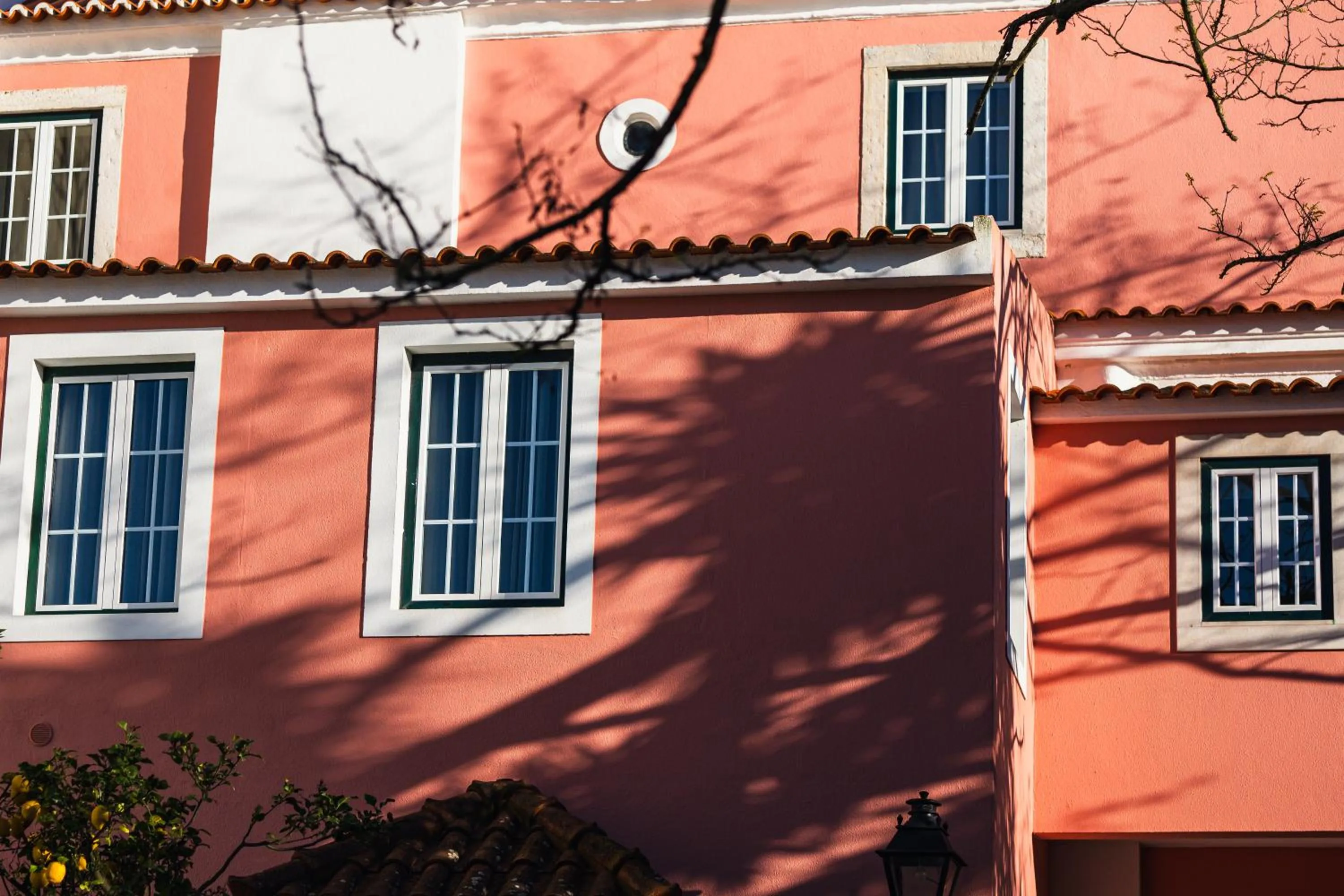 Property building in Jardim da Lapa by Shiadu